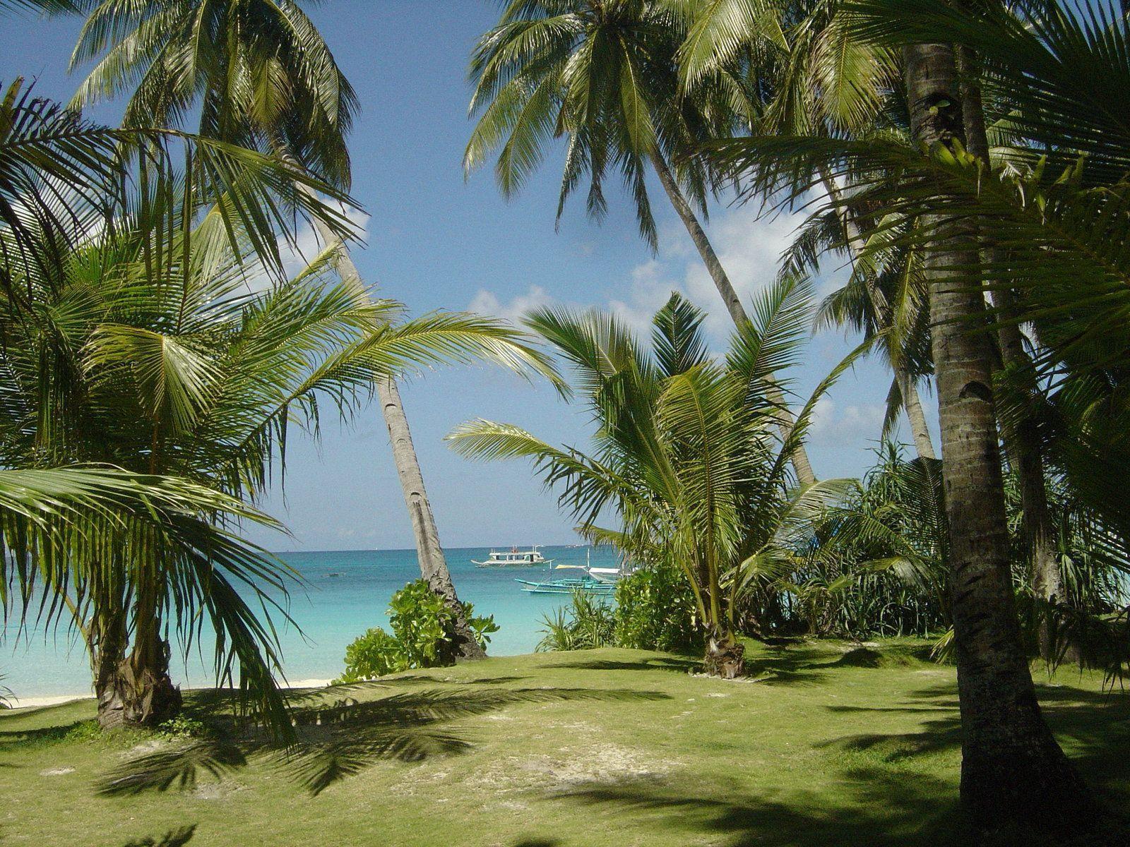 Free Background For Computer Wallpaper and Background