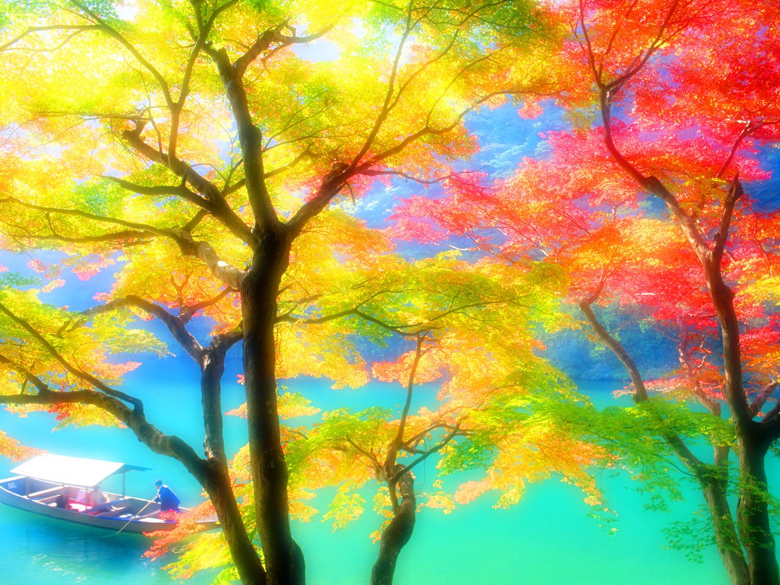 Download Trees Colorful Wallpaper 1600x1200