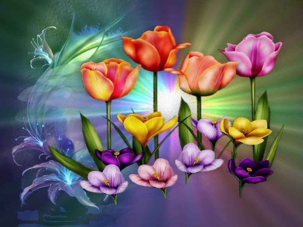 Colorful Flowers Wallpaper Wallpaper Inn