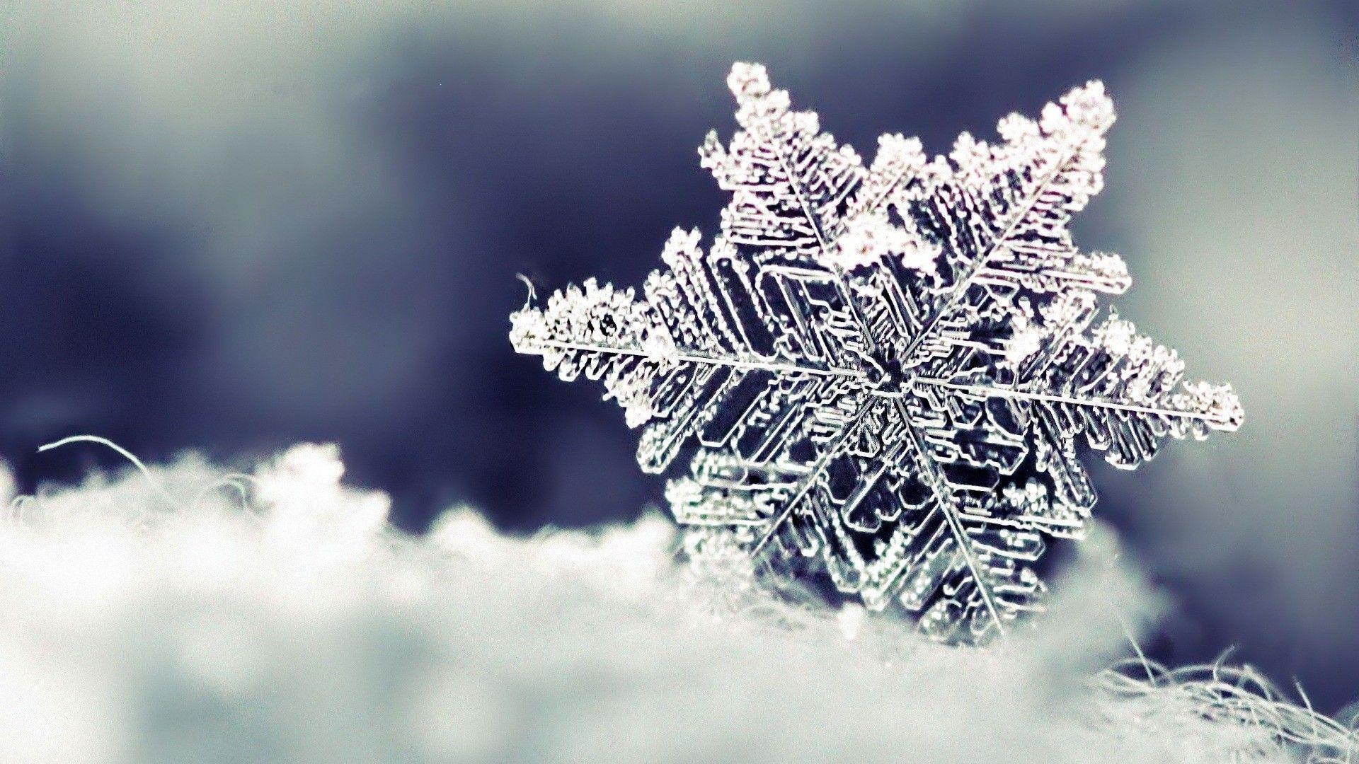 Winter Snow Minimalistic. Download HD Wallpaper