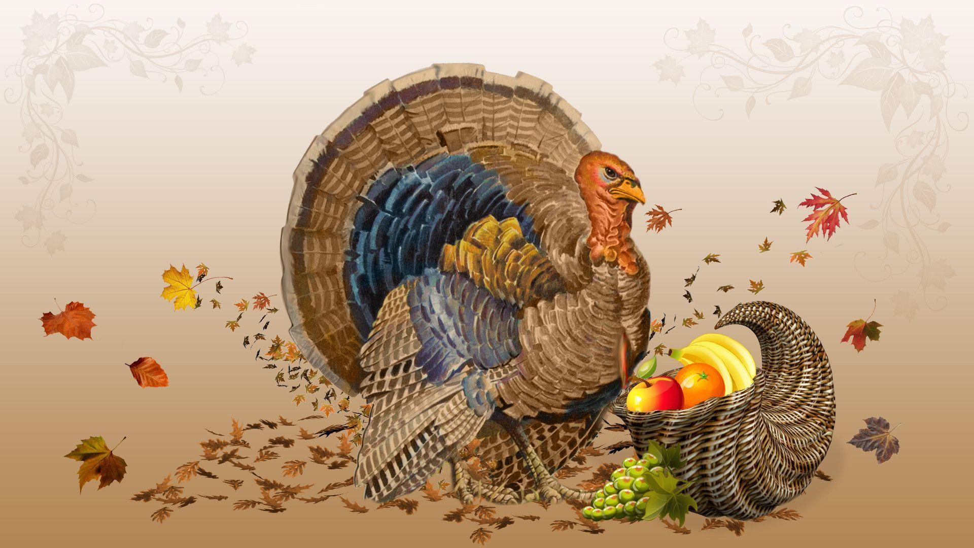 funny thanksgiving virtual backgrounds