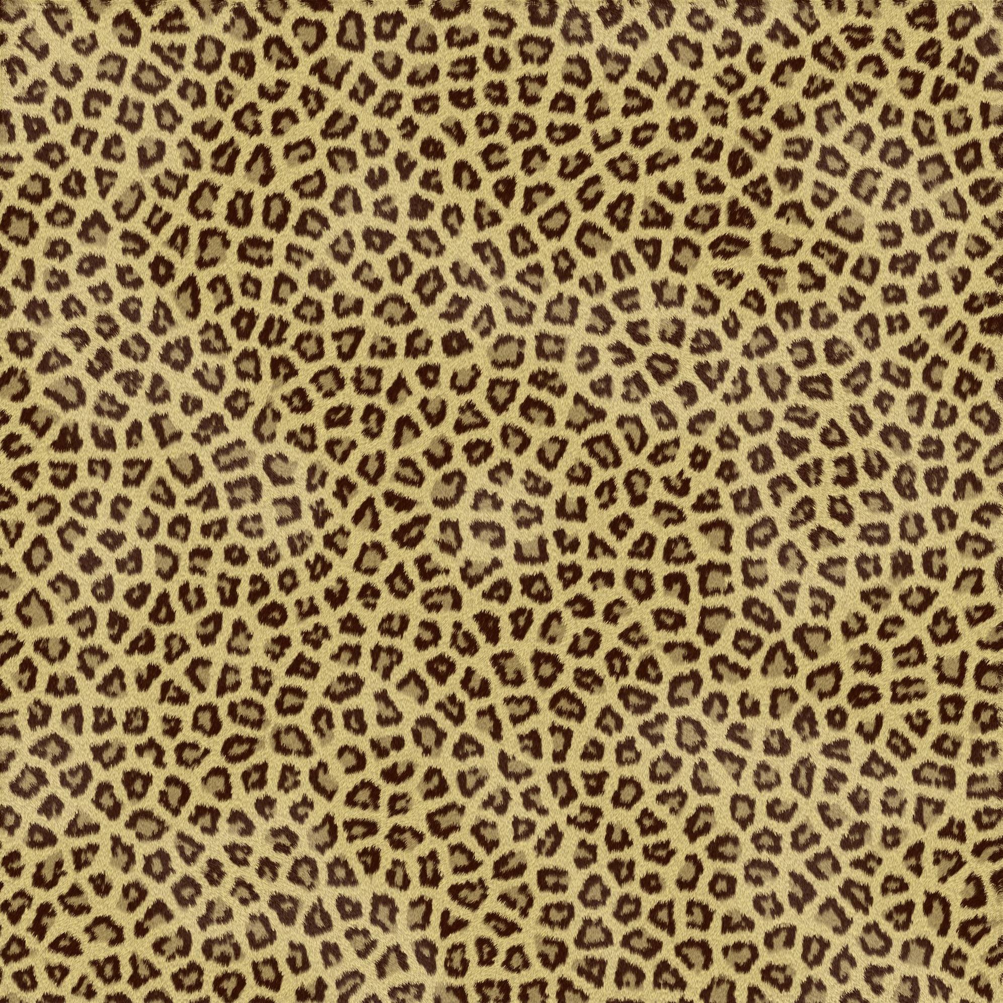 Animals For > Apple Cheetah Print Desktop Wallpaper