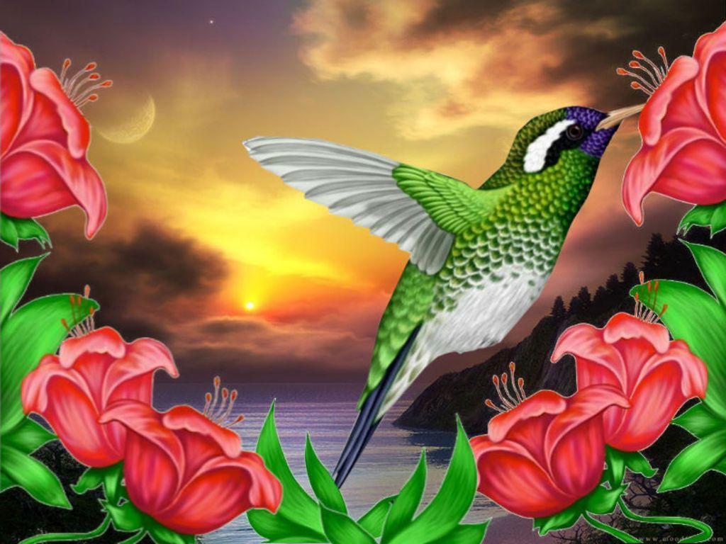 Free Hummingbird Wallpapers - Wallpaper Cave