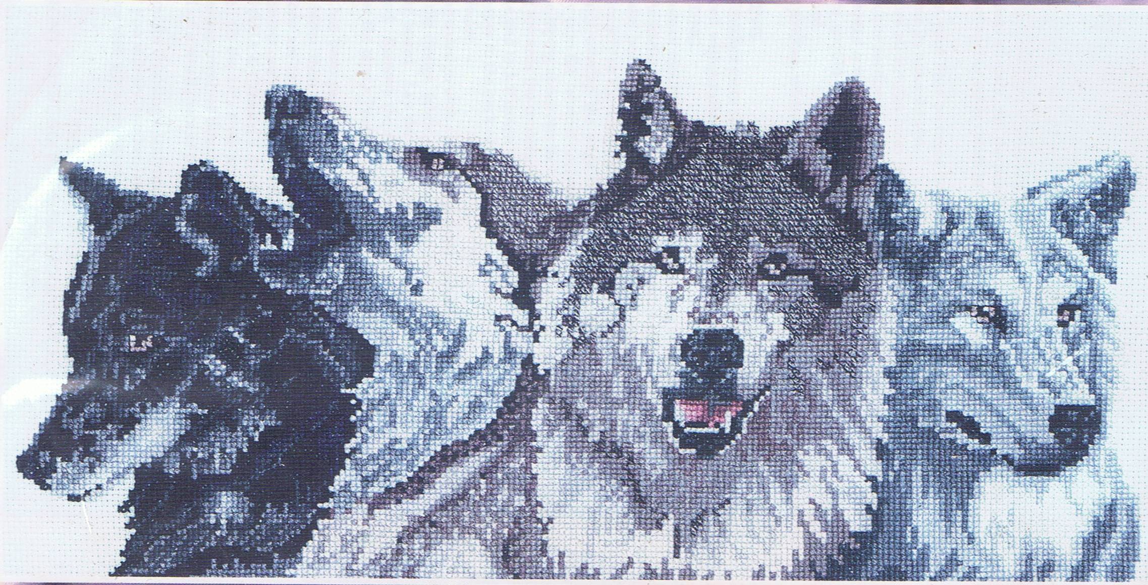 Wolf Pack Wallpapers Desktop Wolf Pack Wallpapers Desktop Wolf Pack