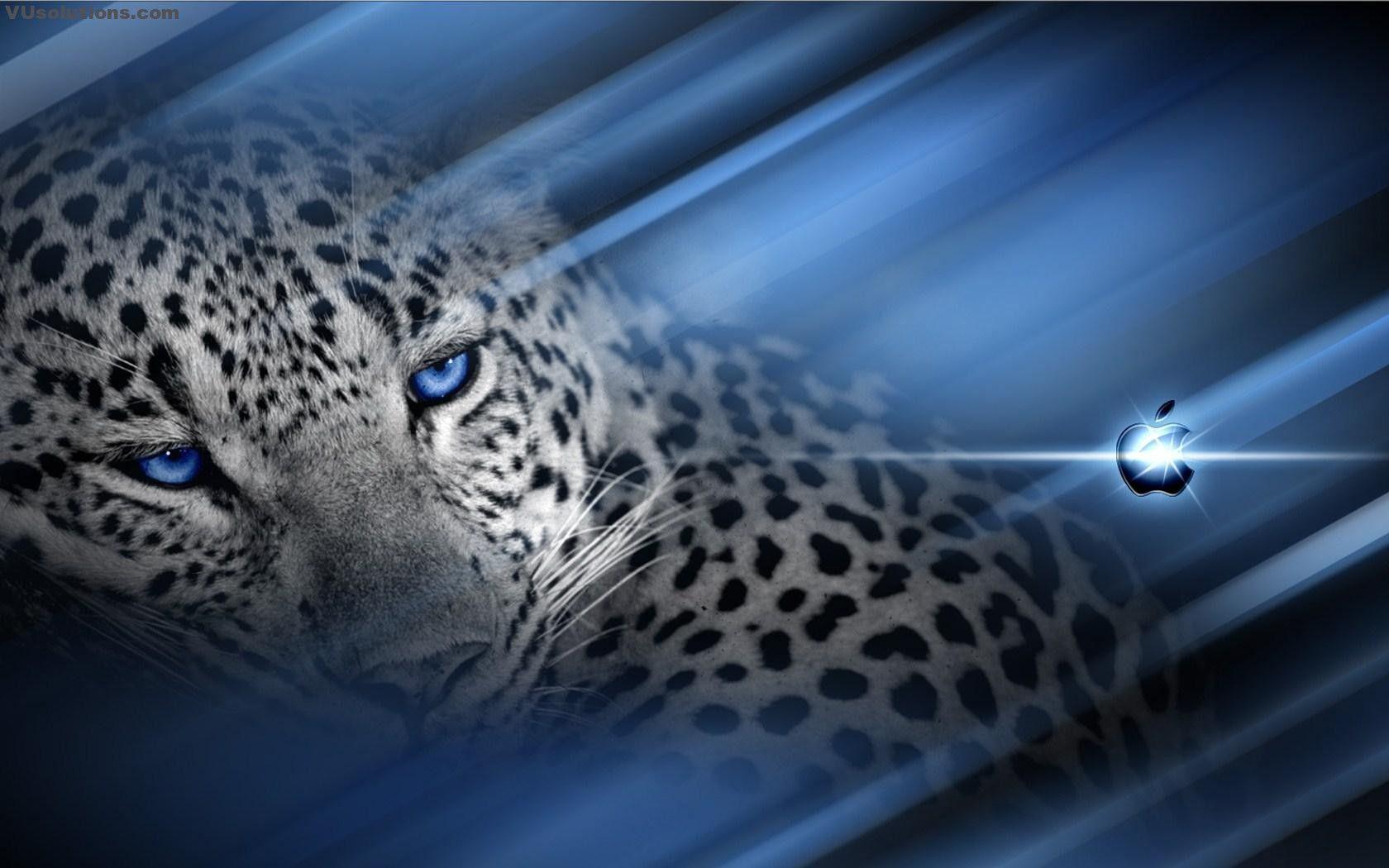 leopard wallpaper