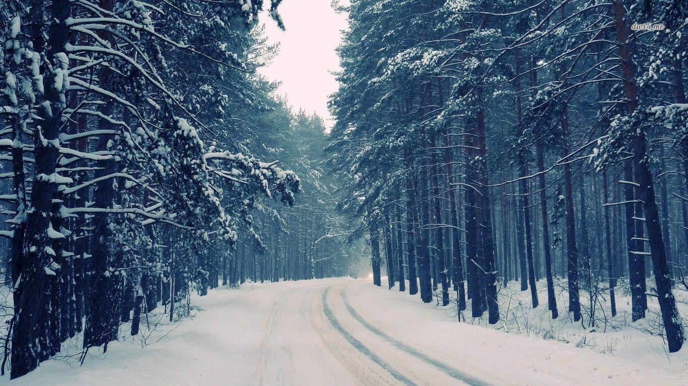 Snowy roadest wallpaper wallpaper - #