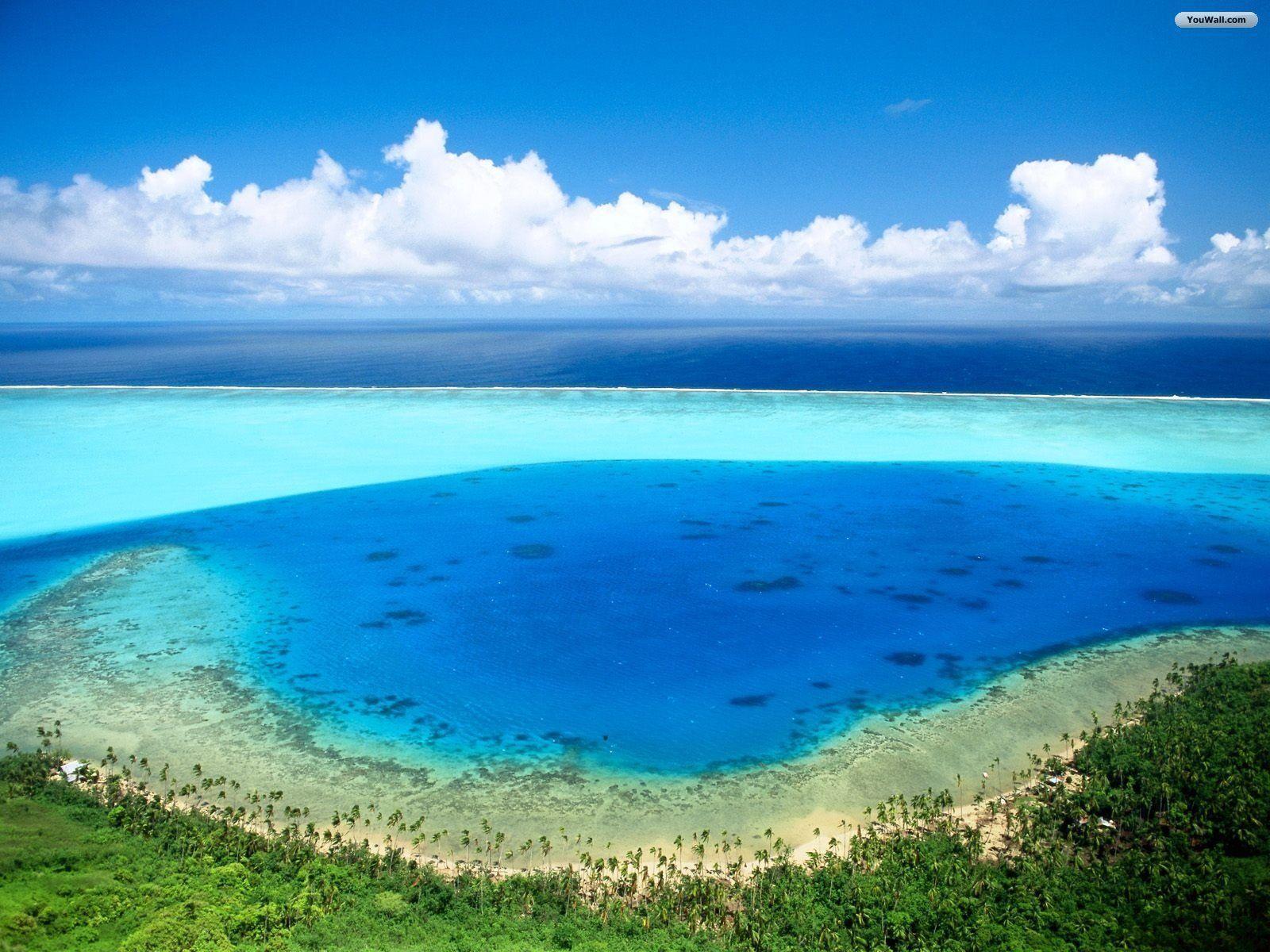 Youwall Forest Wallpaper Wallpaper Free Wallpaper Photo