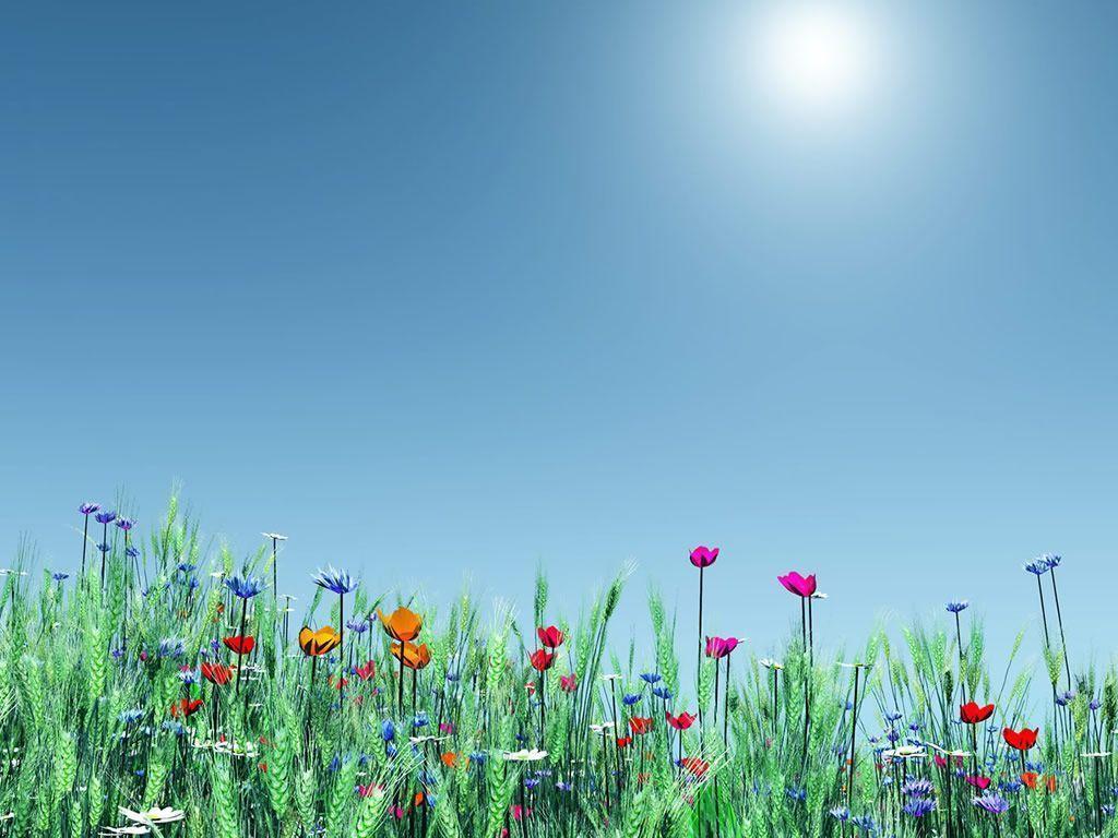 image For > Springtime Background