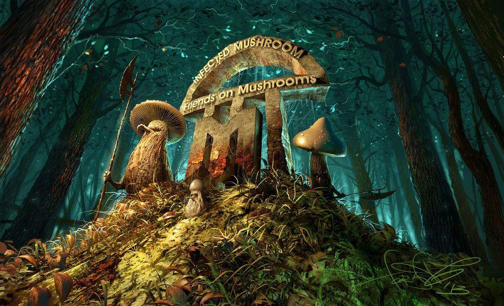 Infected Mushroom.fr Image