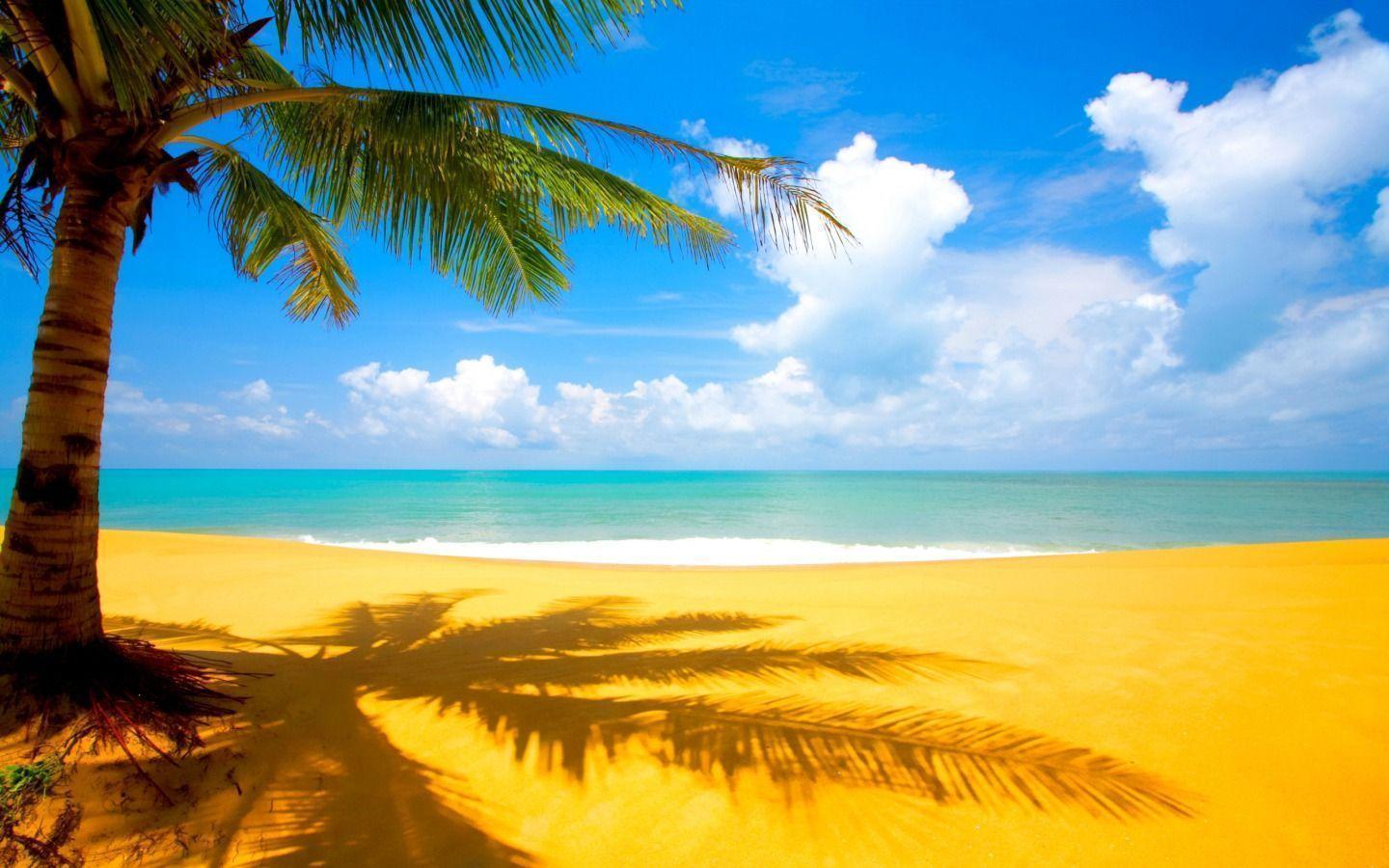 Beach Nature Wallpaper Widescreen 2 HD Wallpaper. lzamgs