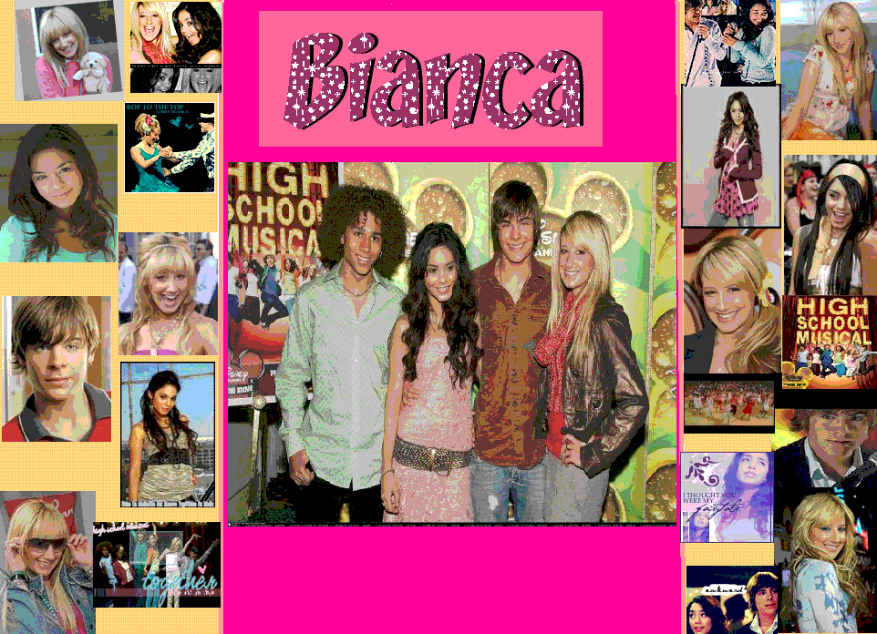 High School Musical Wallpaper and Picture Items