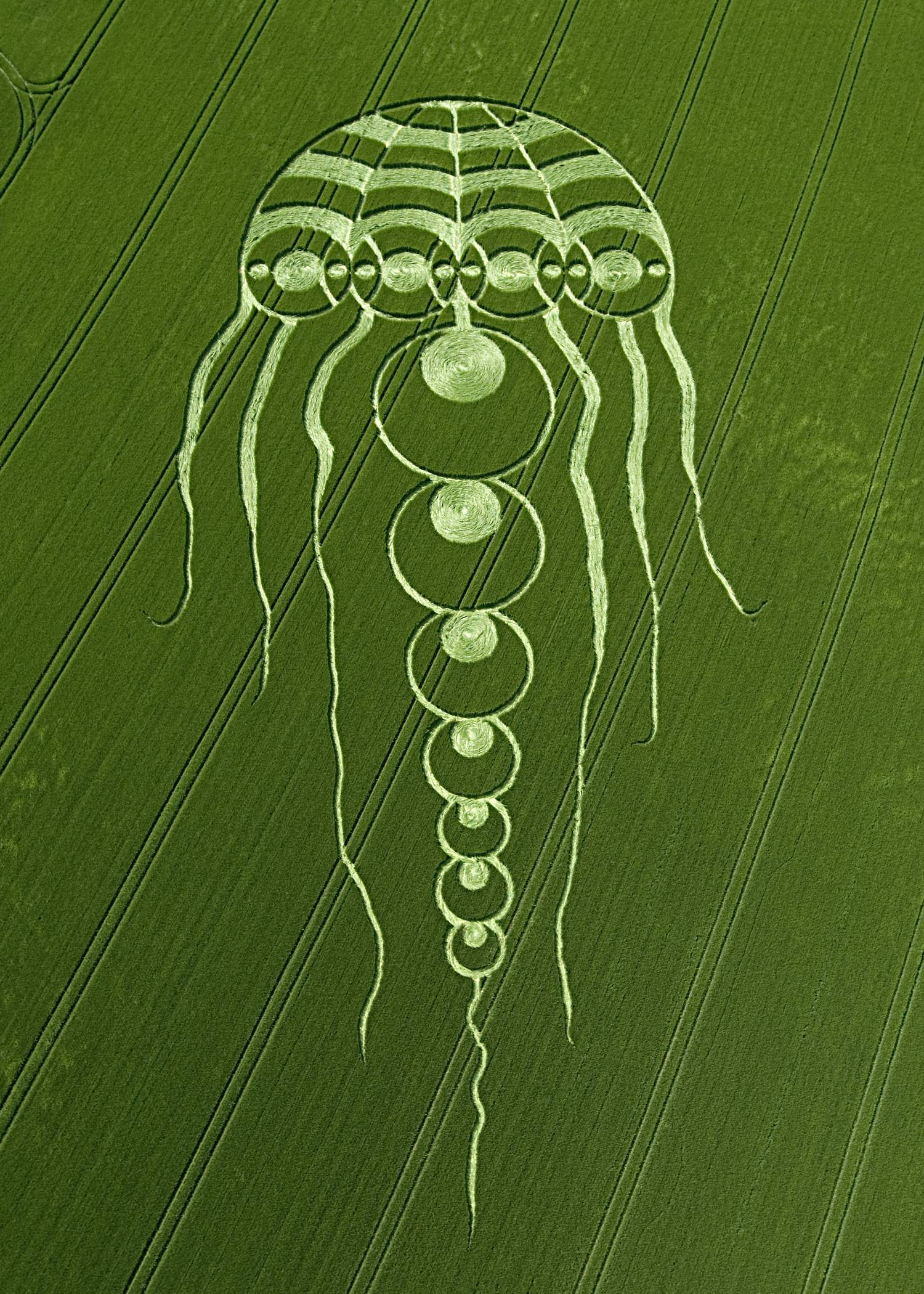 image For > Crop Circle Meanings