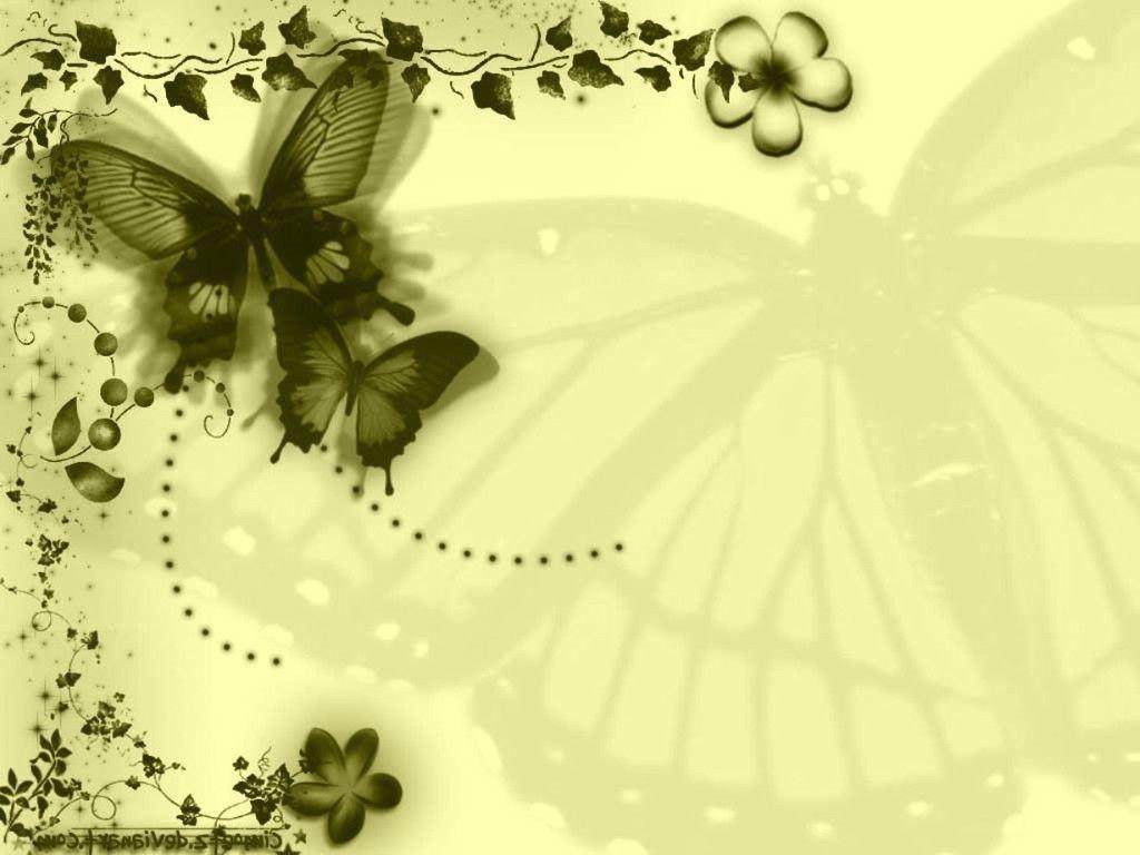 background butterfly Search Engine