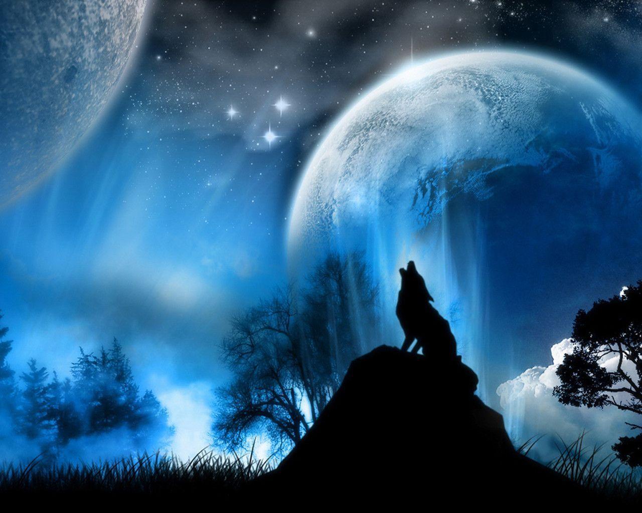 wolf desktop wallpaper