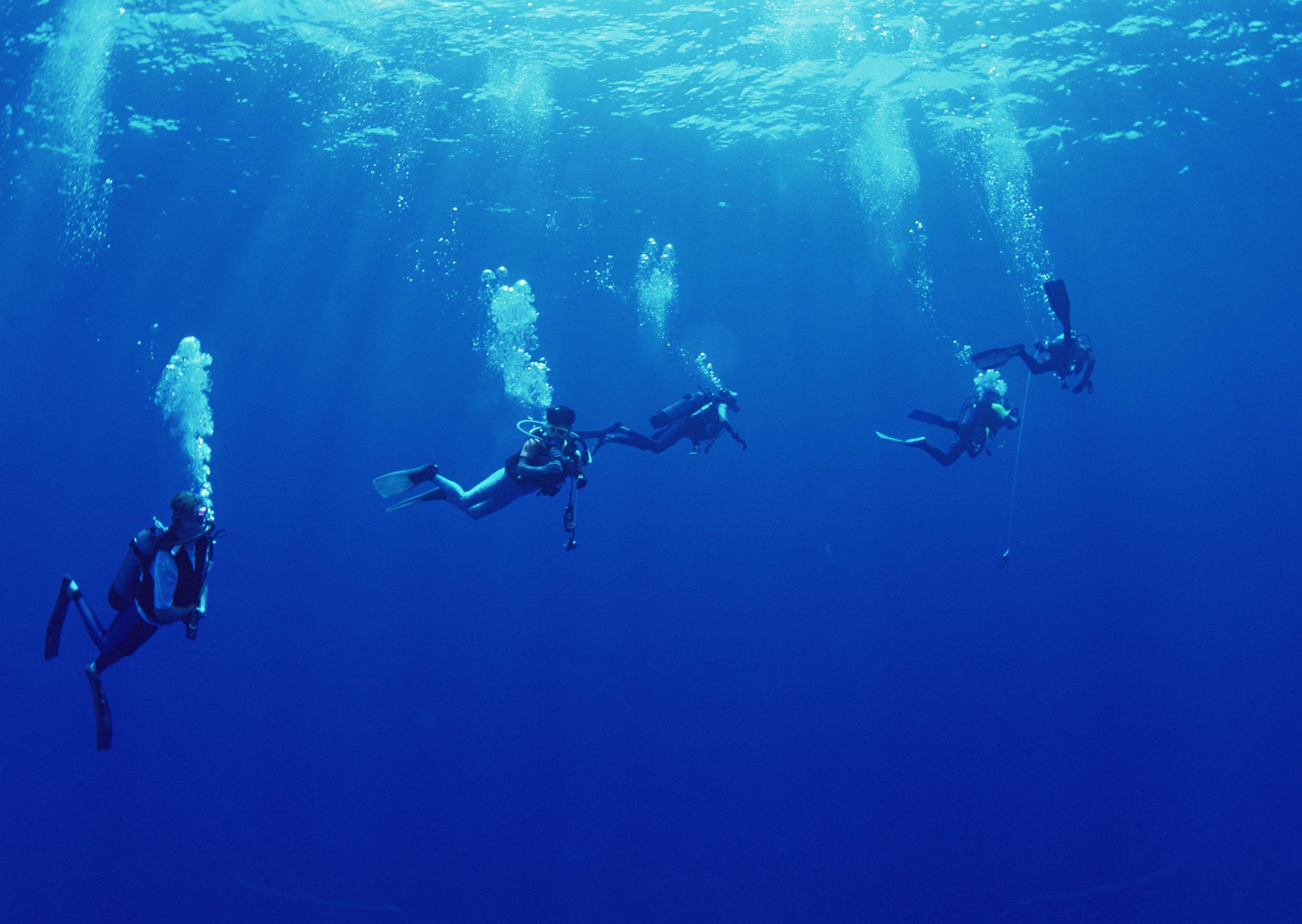 Scuba Diving Wallpaper