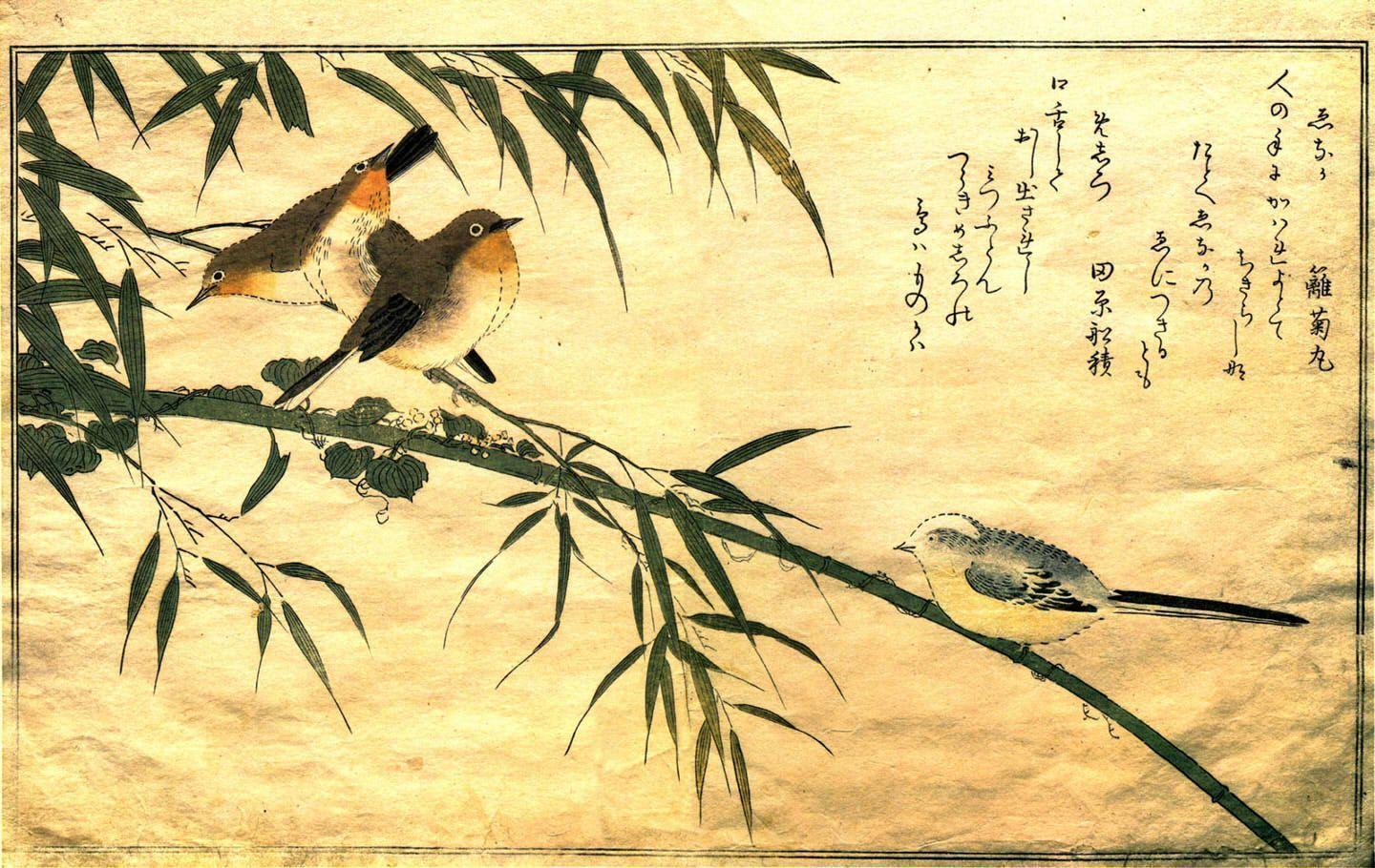 Oriental Computer Wallpaper, Desktop Background 1440x910 Id: 285813