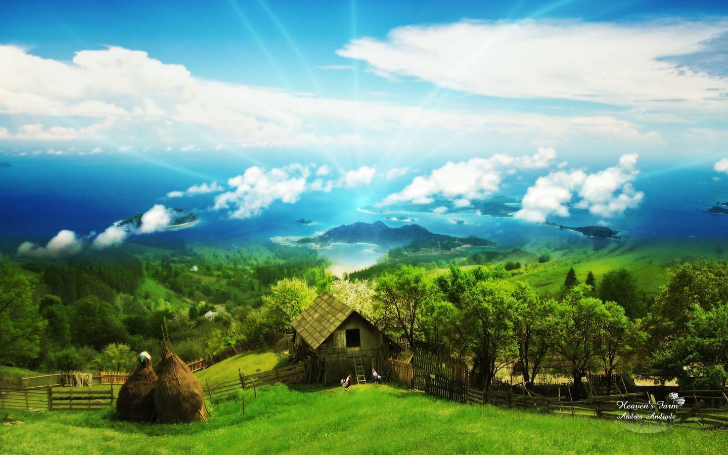 Wallpaper 5