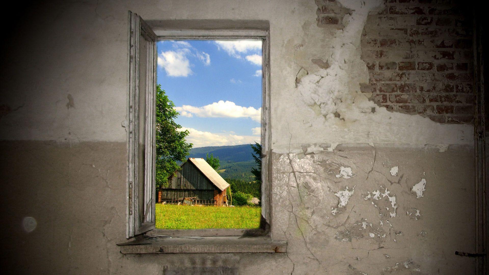 Window Wallpaper