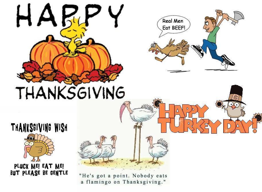 Thanksgiving Holiday Funny 37454 Hd Wallpapers in Celebrations.