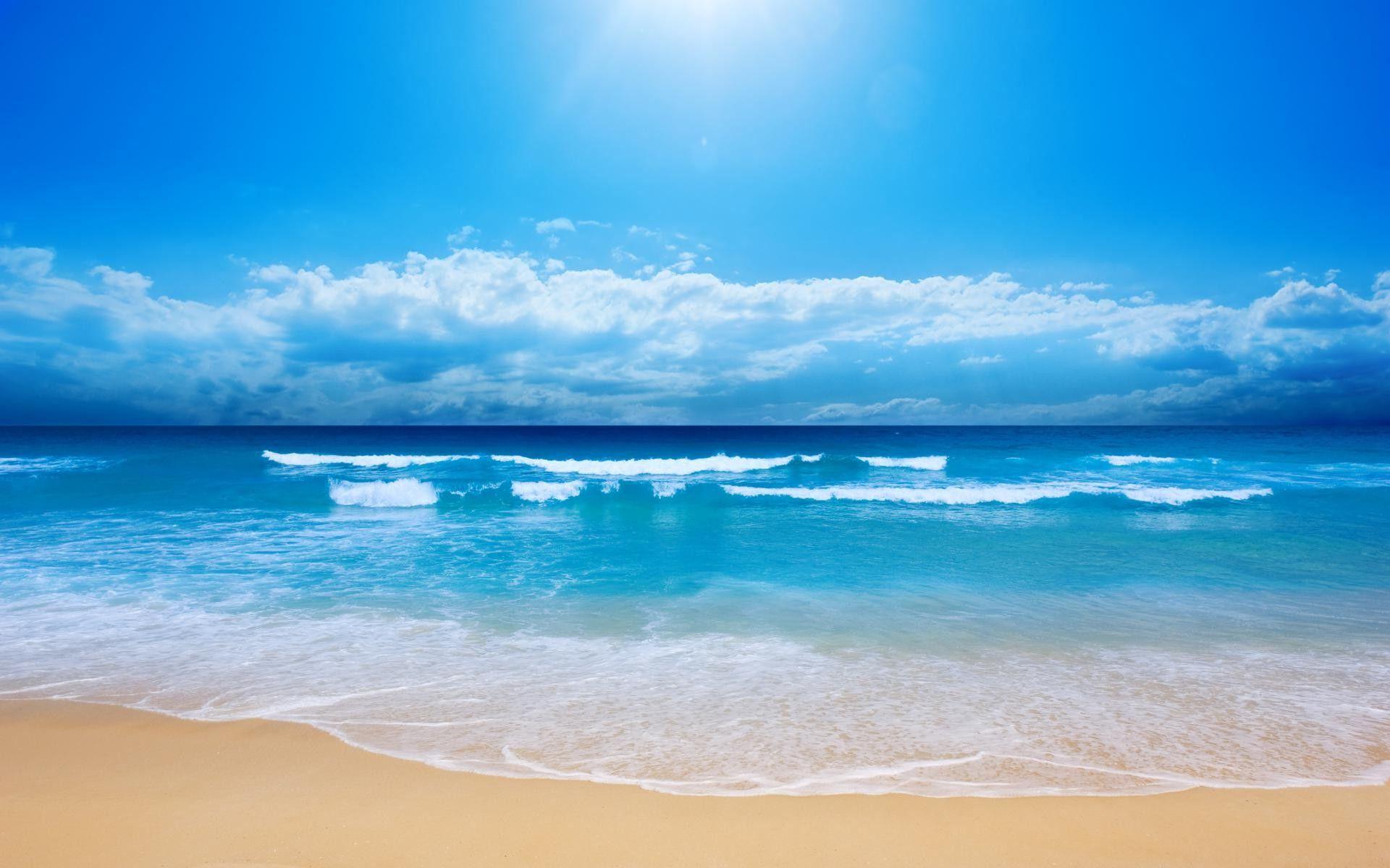 34+ Zoom Background Images Beach Background - Alade