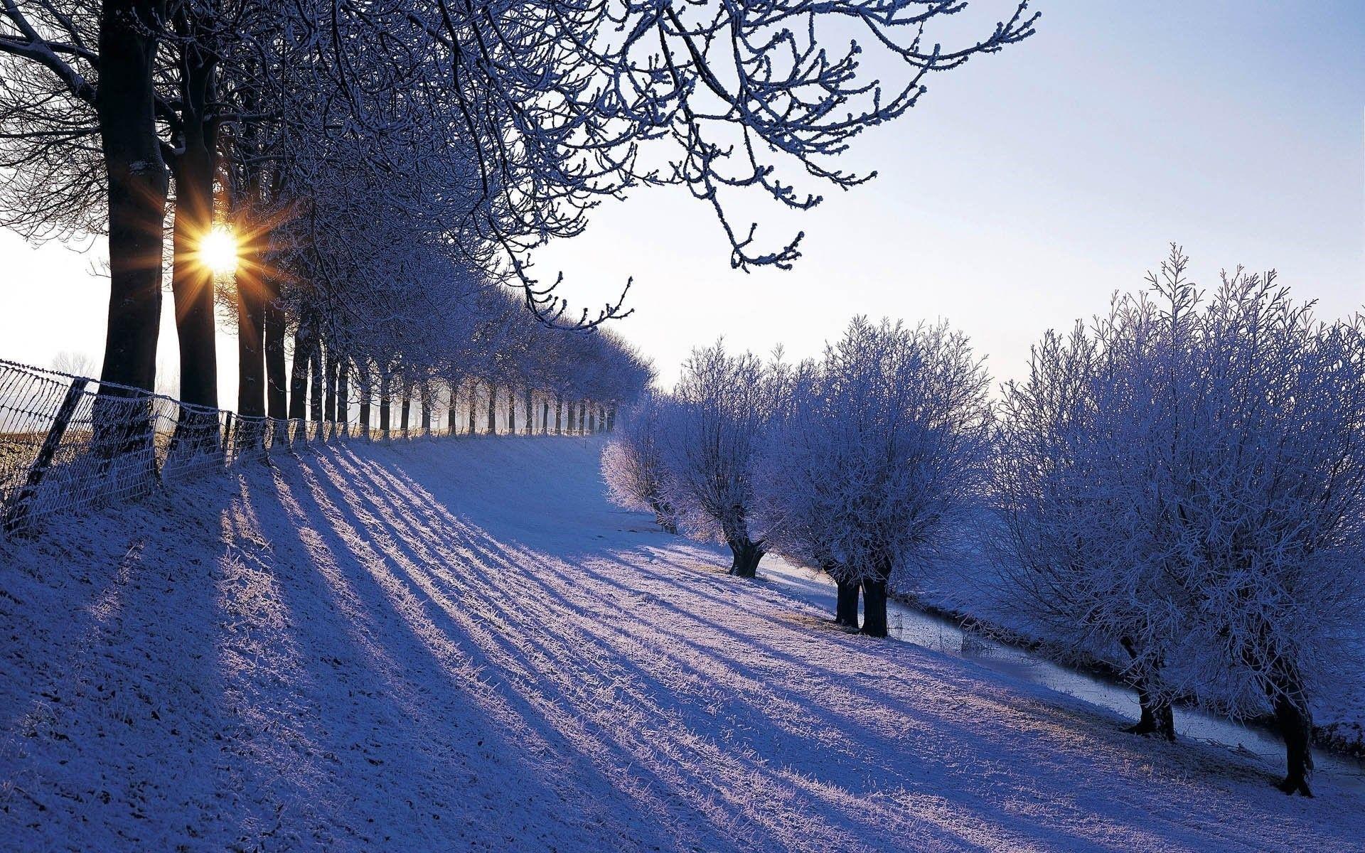 Beautiful Winter Wallpaper in Netherlands Country