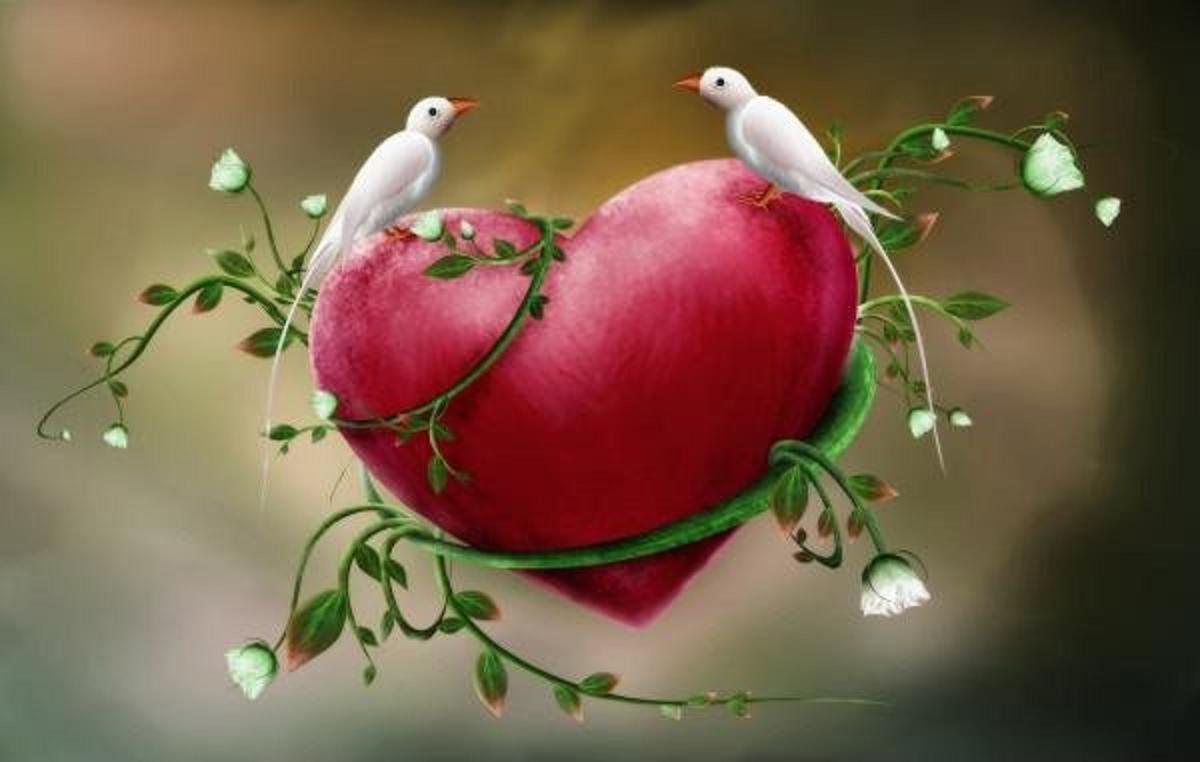 Love Birds Wallpaper 7