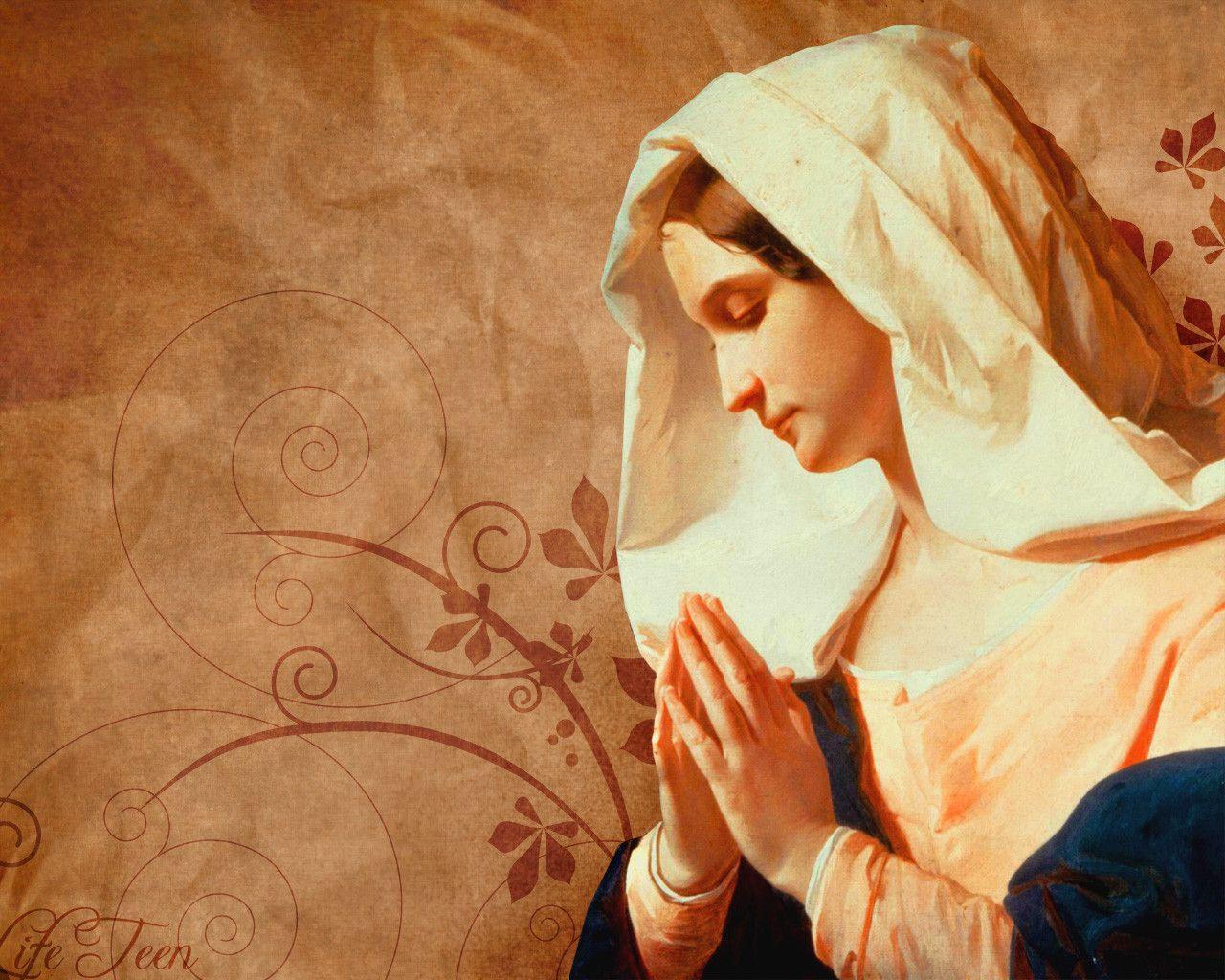 Catholic Background Wallpaper Image & Picture