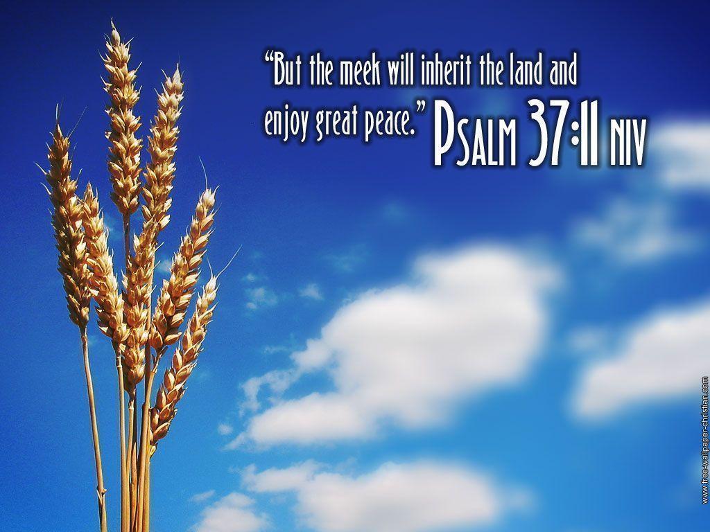 Psalm 37:11 Peace Wallpaper