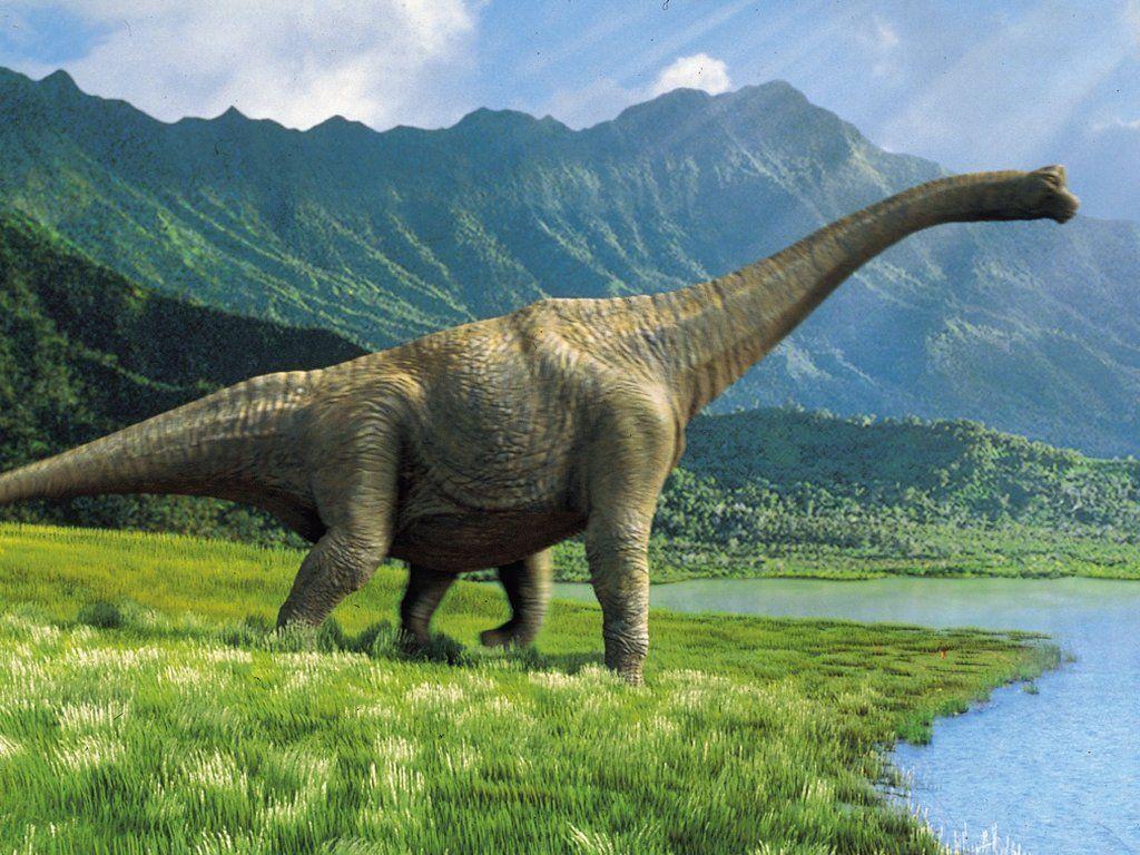Download Dinosaur Wallpaper HD. Dinosaurs Picture and Facts