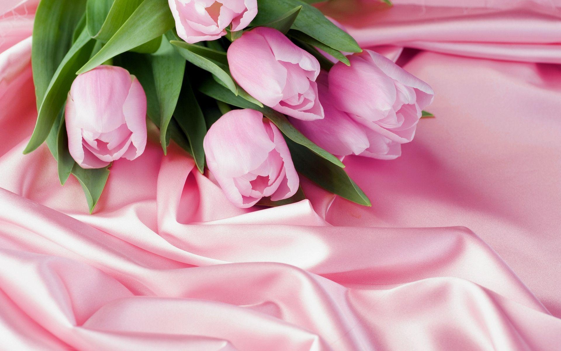 Pink Tulips Wallpaper Wallpaper Inn