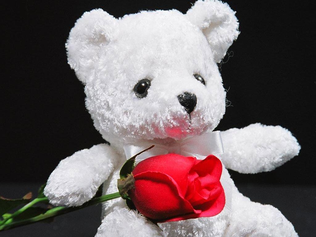 Valentine&;s Teddy Bears HD Wallpaper