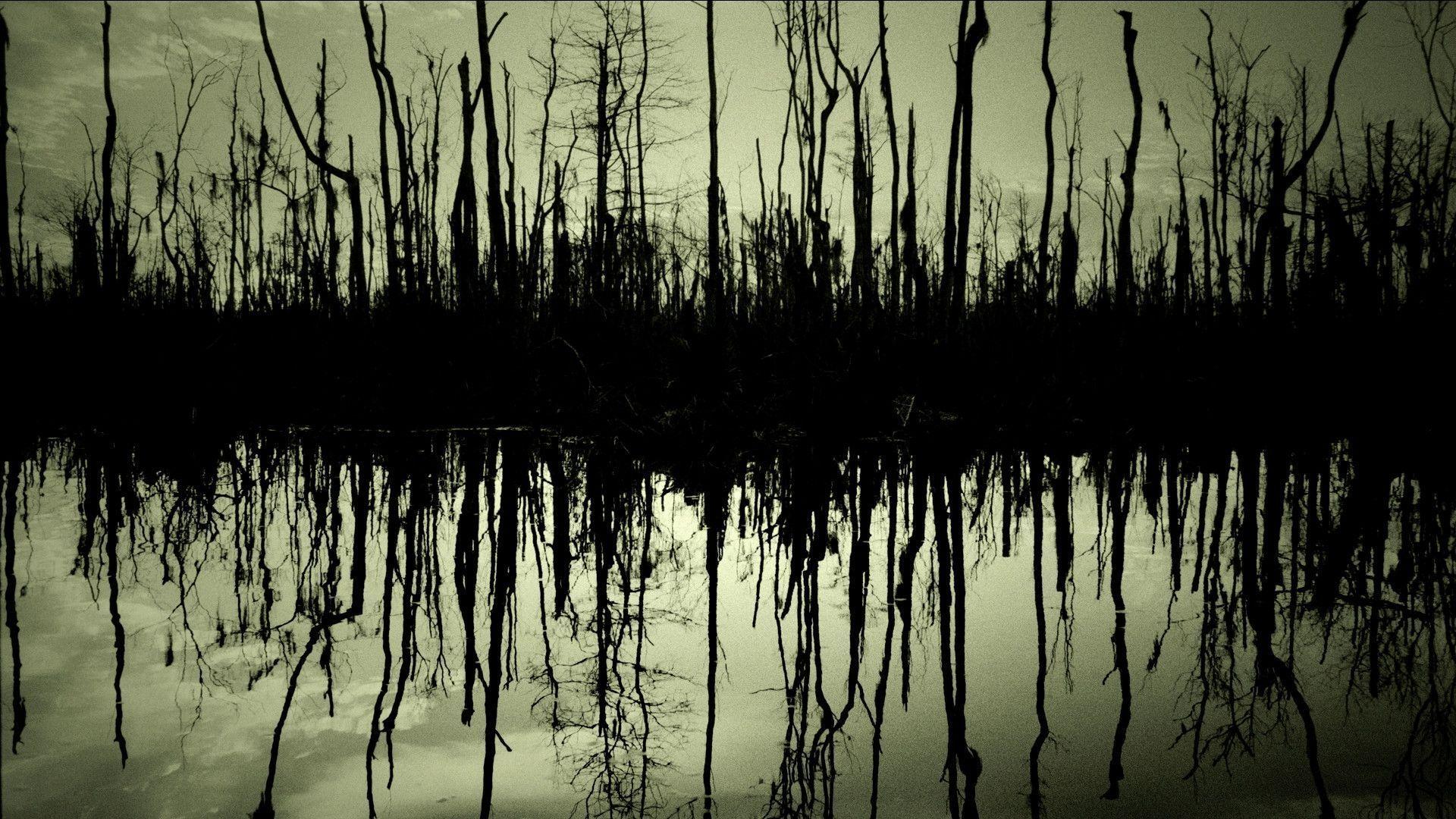 Wallpaper  swamp forest house 1920x853  Savage  1940117  HD Wallpapers   WallHere