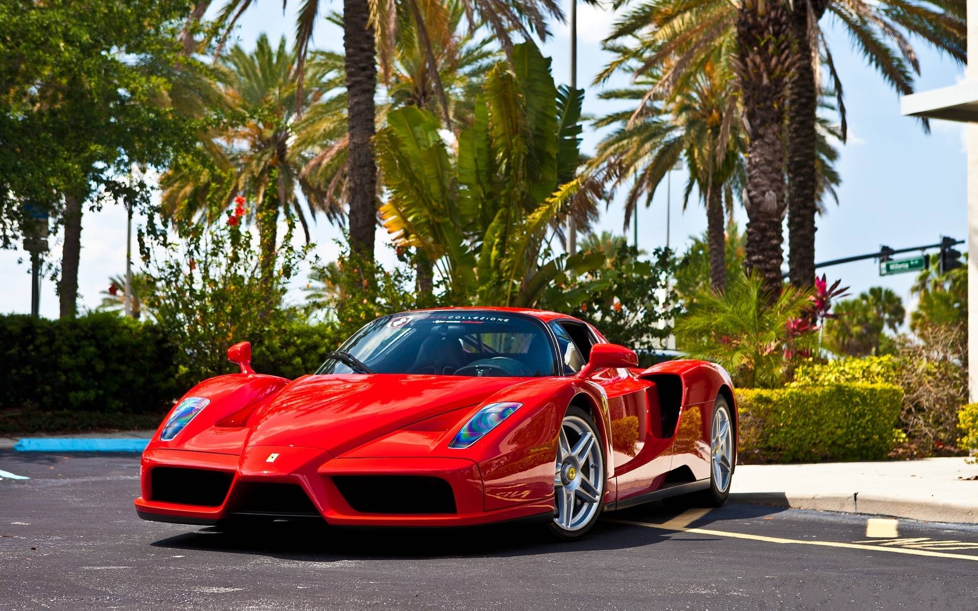Vehicles For > Ferrari Enzo Wallpaper Widescreen