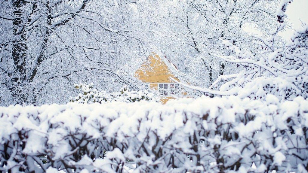 Winter Wallpaper Background and Picture Full HD for PC and MAC