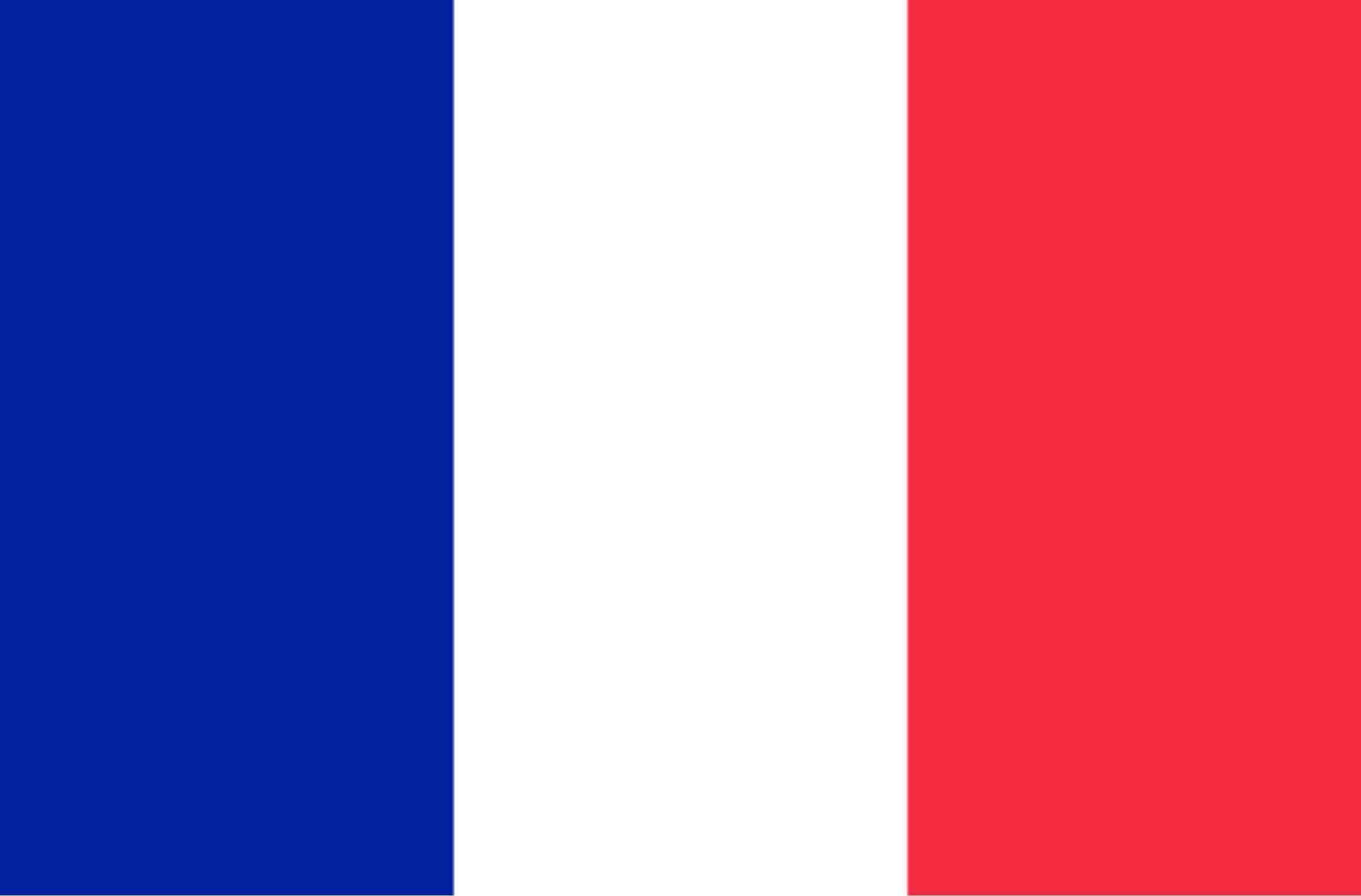 Printable French Flag Printable Word Searches