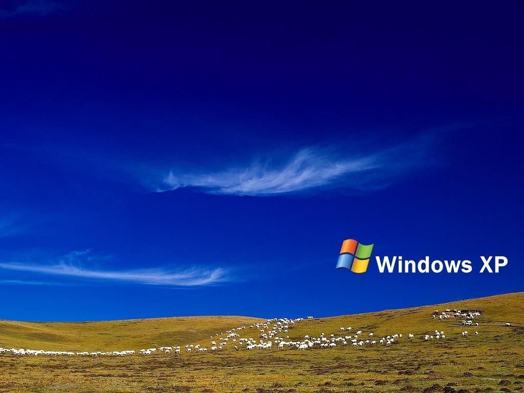 car wallpapers for windows xp