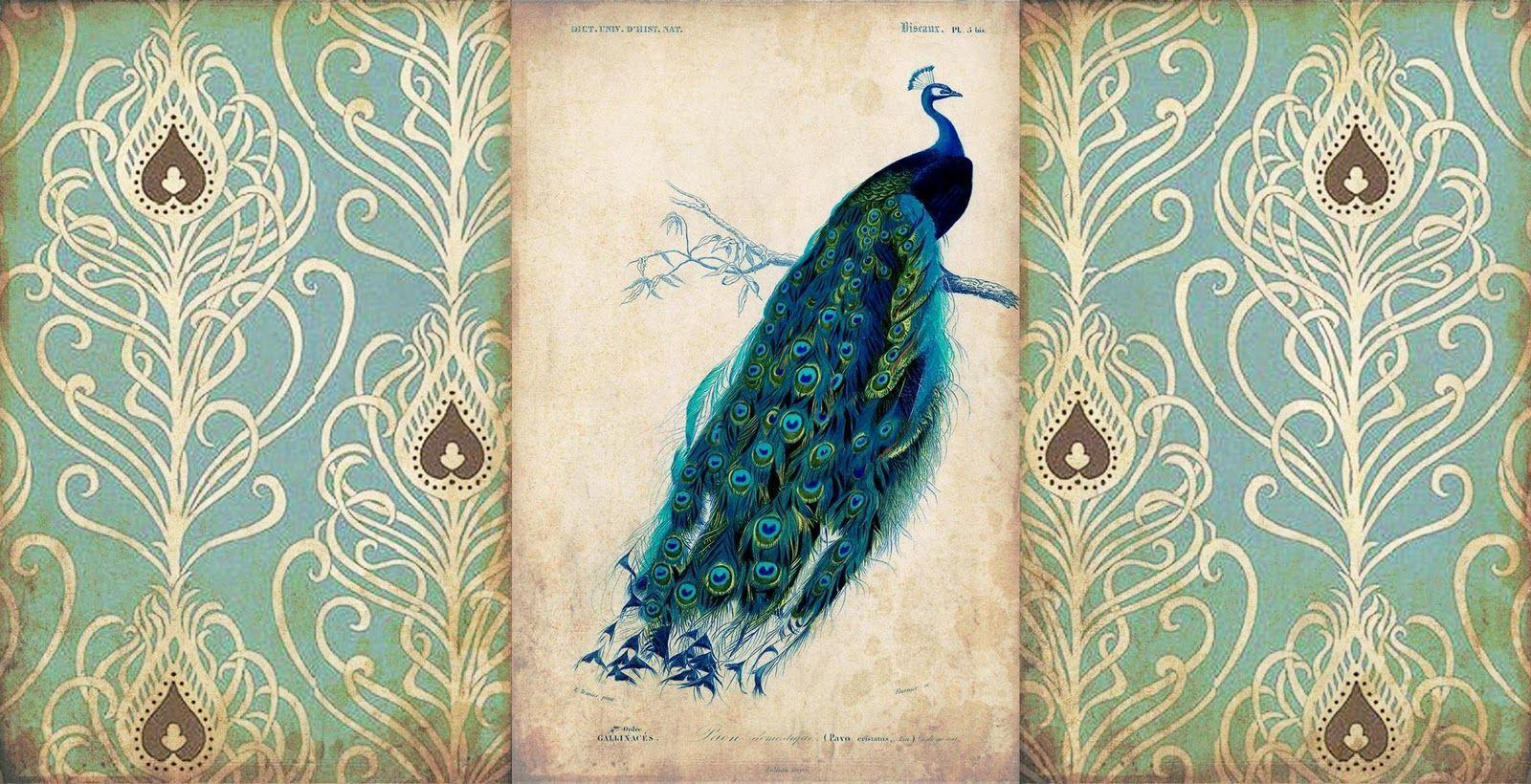 WalliePad Wallpaper For IPad: Peacock IPad Wallpaper