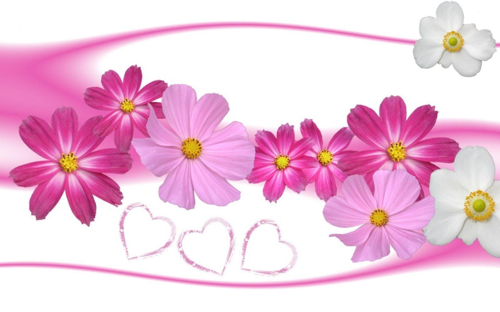 Spring wallpaper