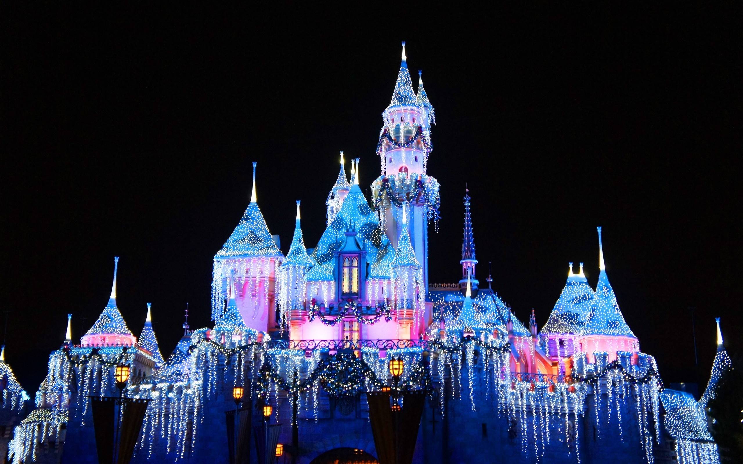 Disney Castle at Night Widescreen HD Wallpaper