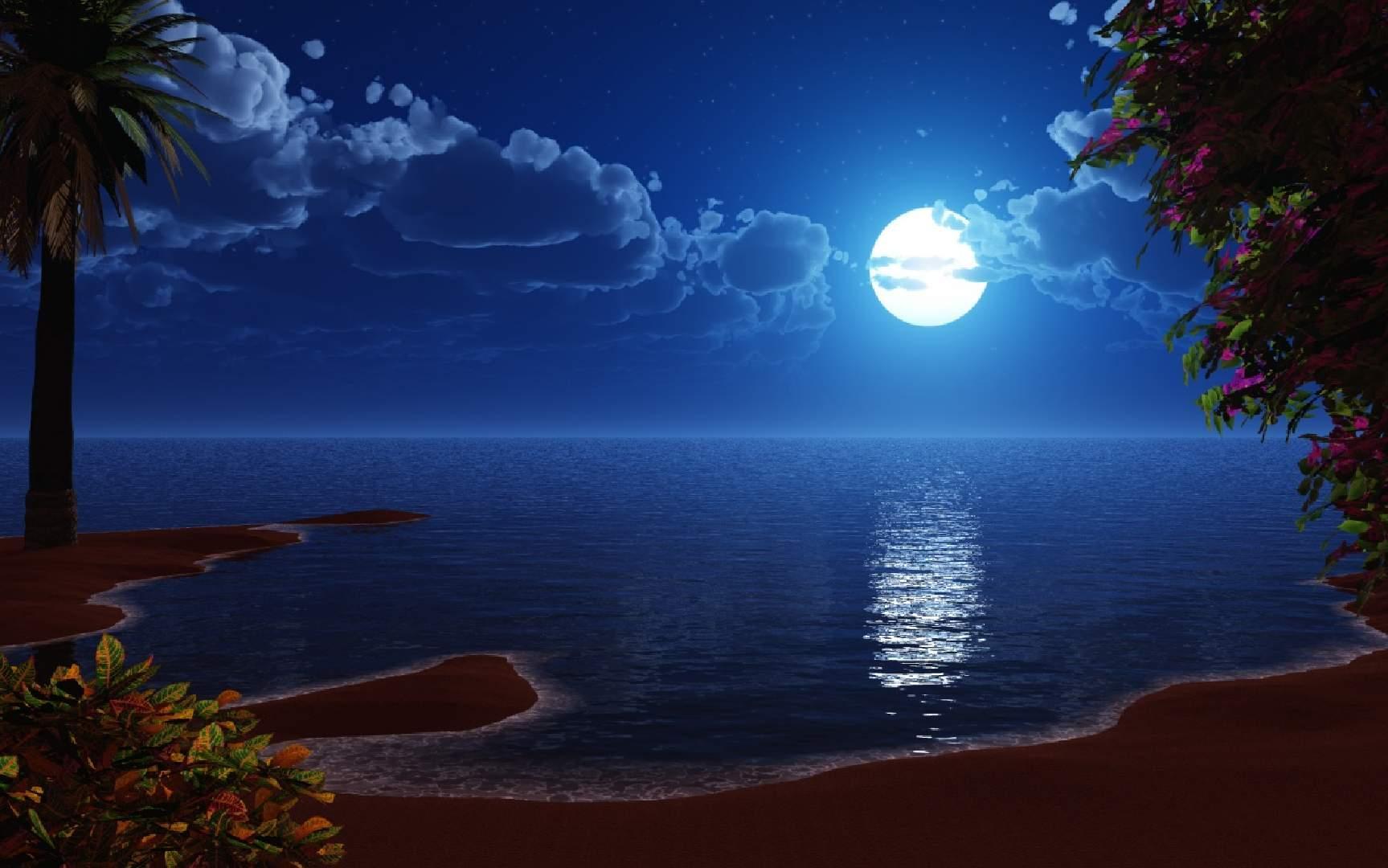 Bright moon night in shore background free desktop background