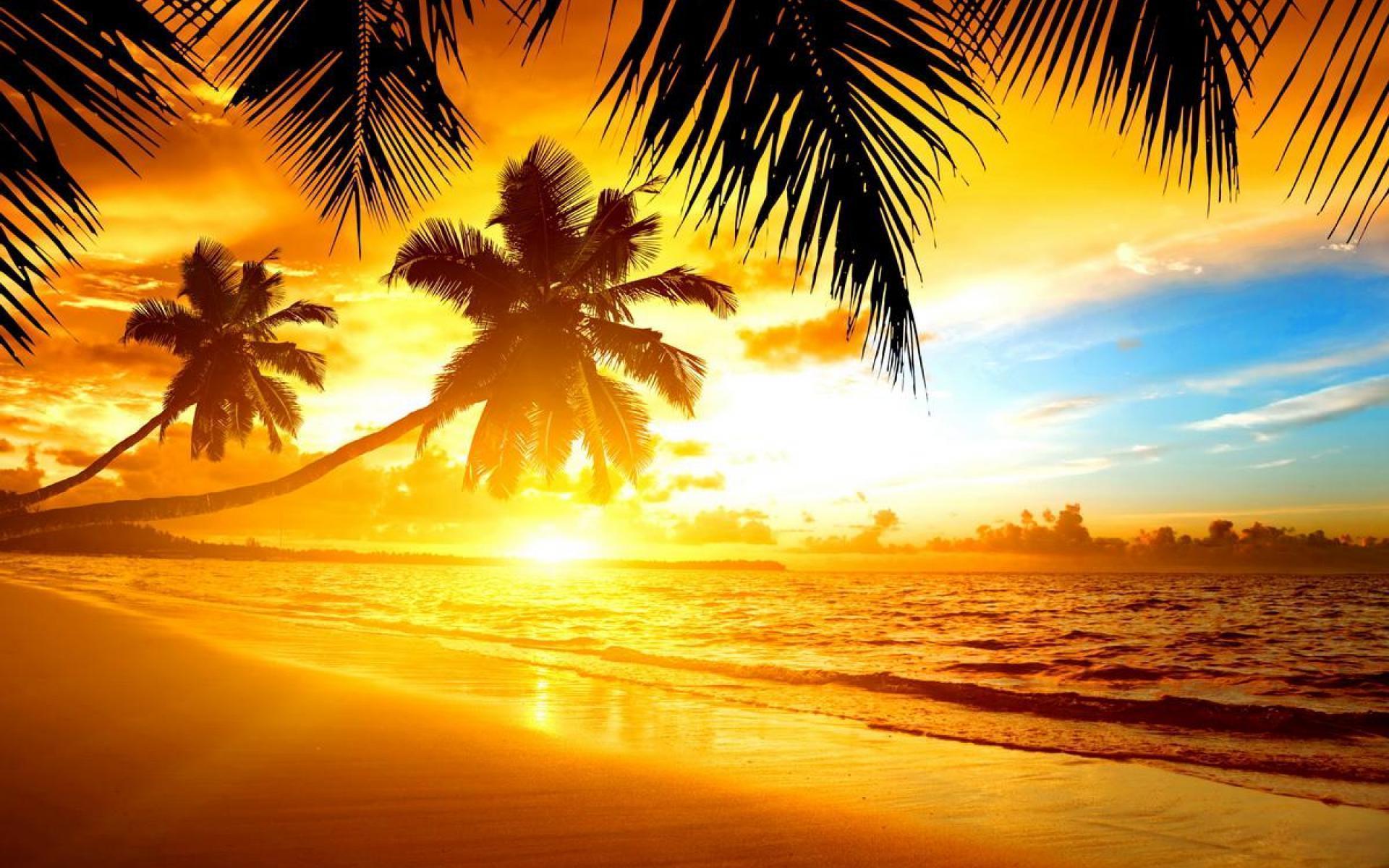 Tropical Island Sunset Wallpapers Wallpaper Cave