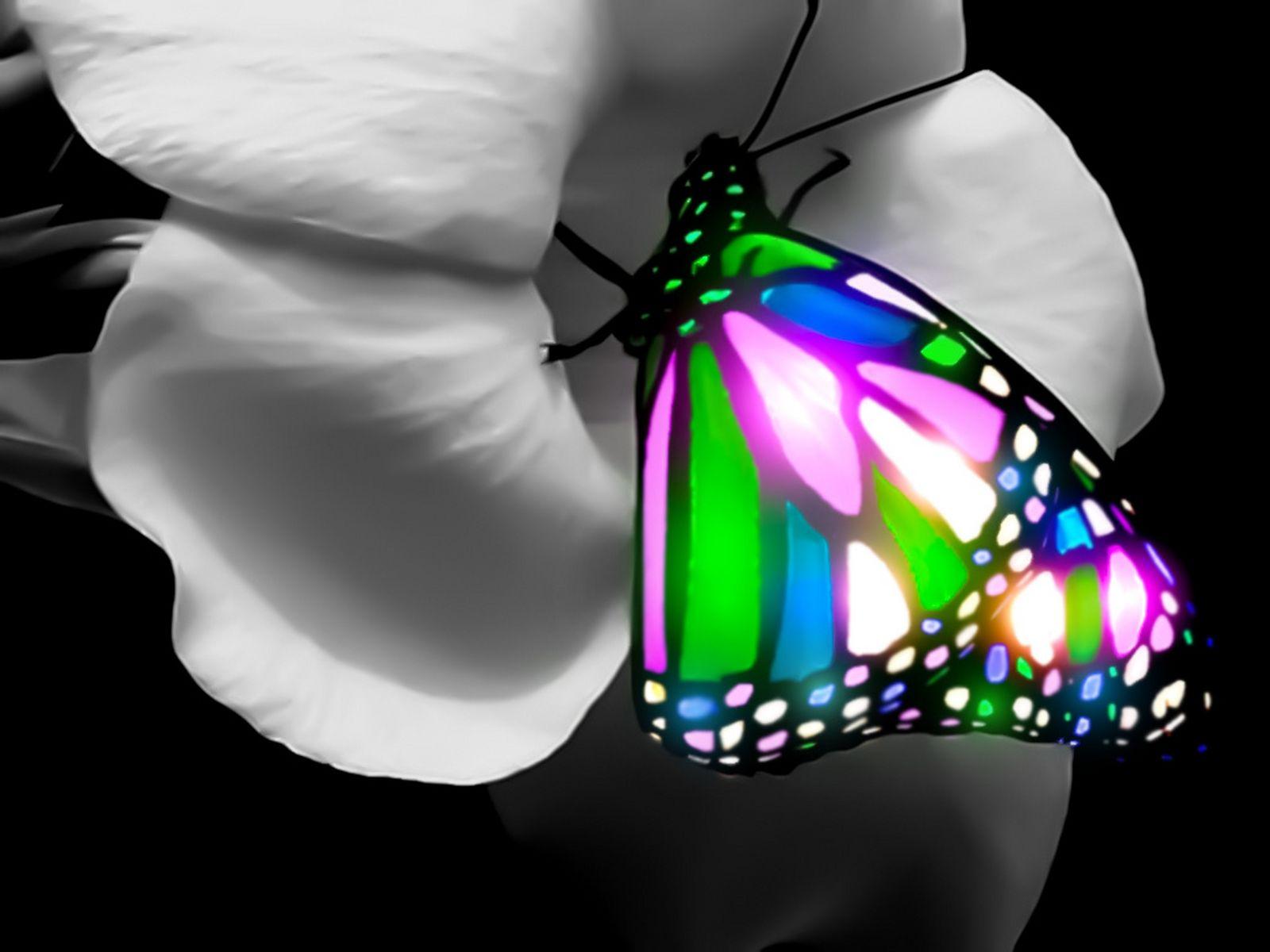 3D Butterfly Wallpapers - Wallpaper Cave