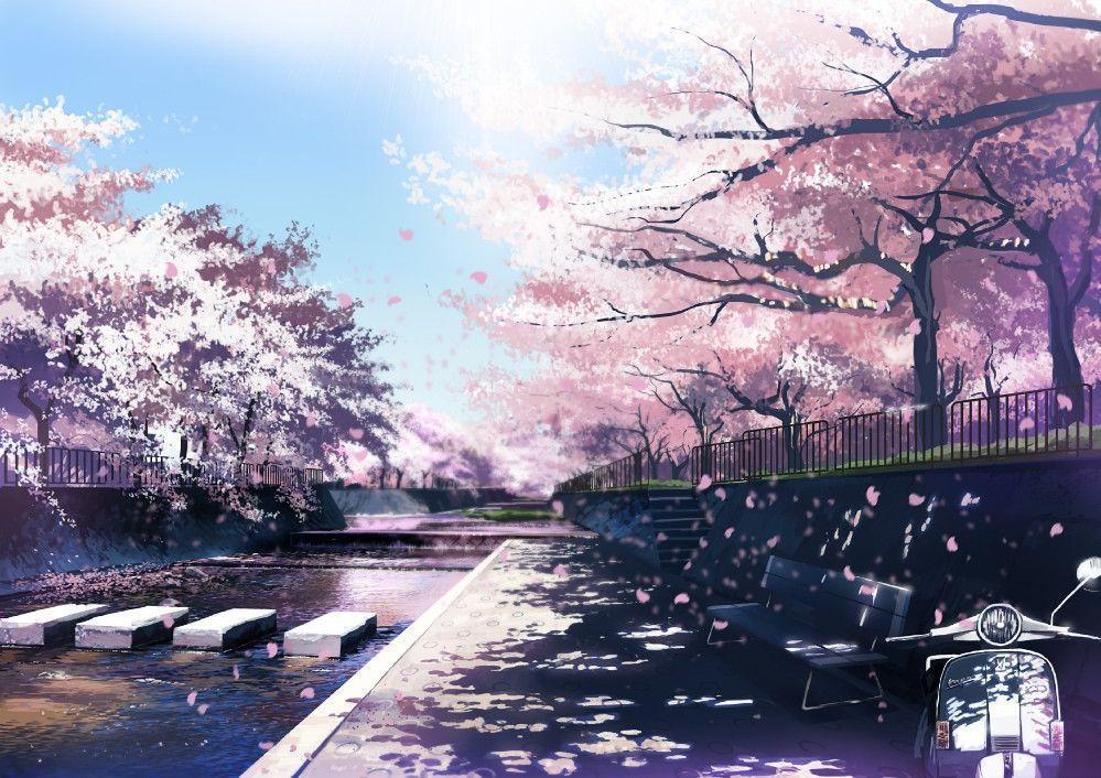 Sakura Backgrounds - Wallpaper Cave