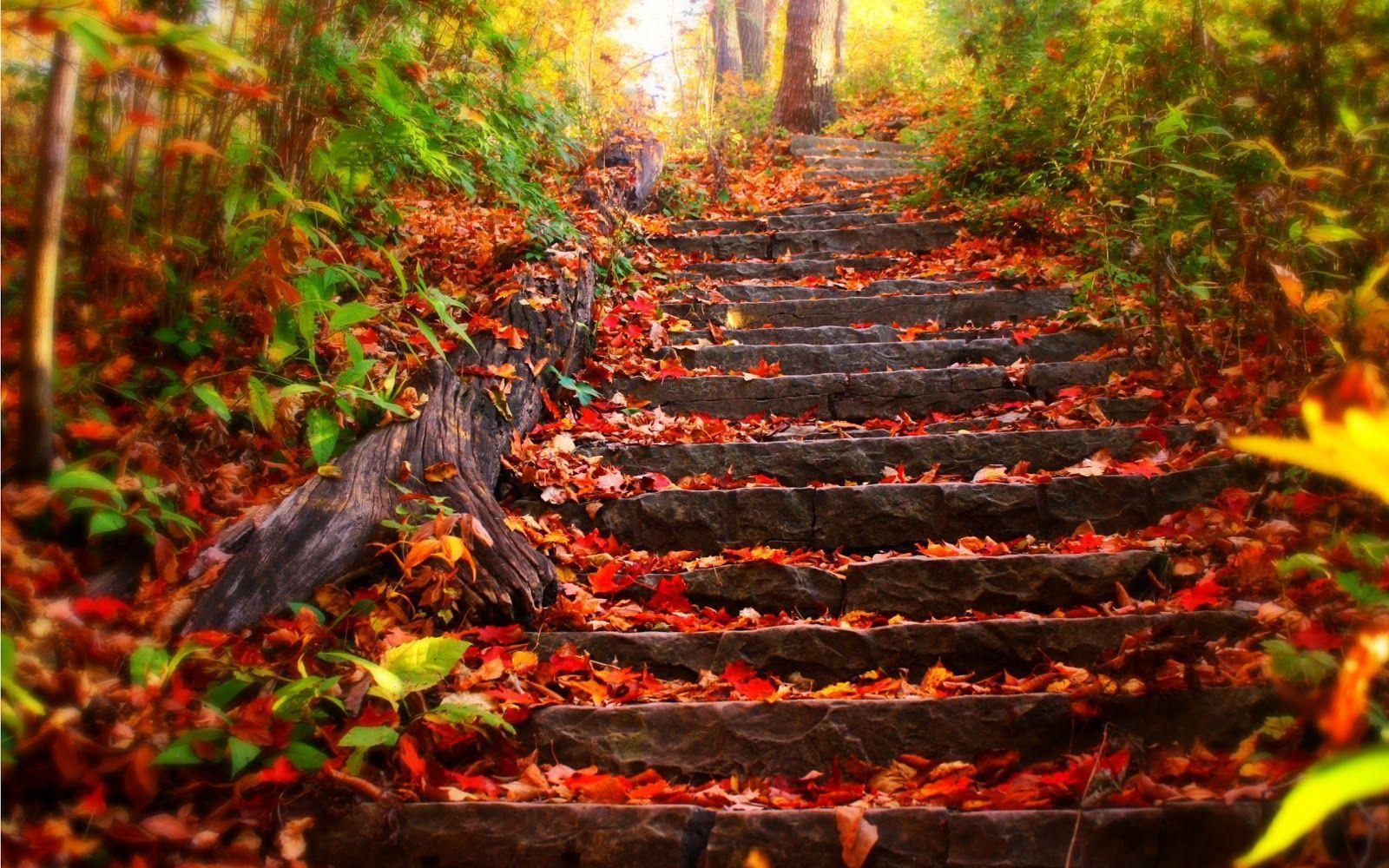 Fall Scenery Wallpaper Stairway in Autumn Wallpaper HD