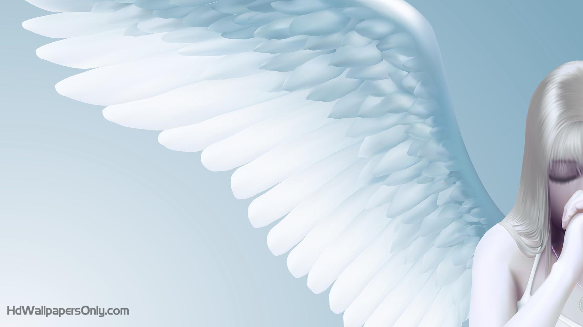 Nice Wallpaper for Desktop HDHD Wallpaper Only