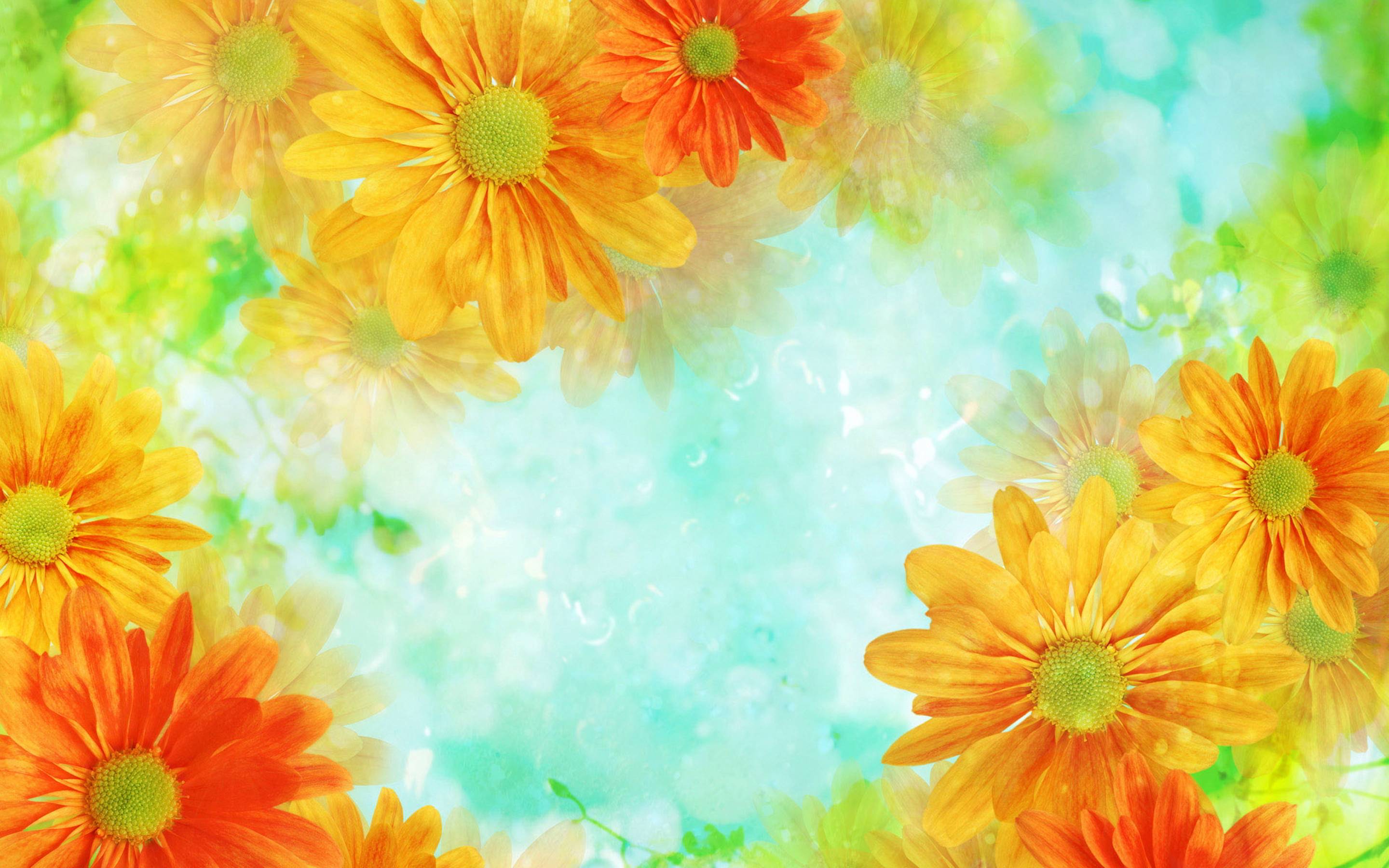 Orange flowers HD background