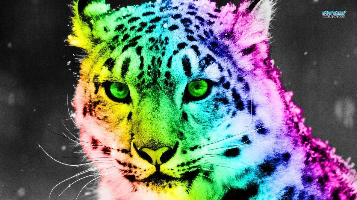 Wallpaper For > Rainbow Cheetah Print Wallpaper
