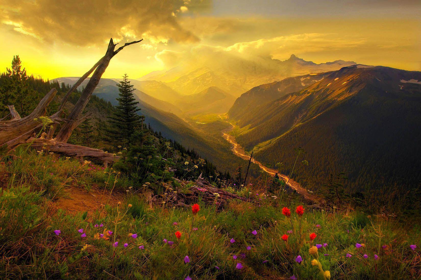 Mount Rainier National Park Wallpapers - Wallpaper Cave