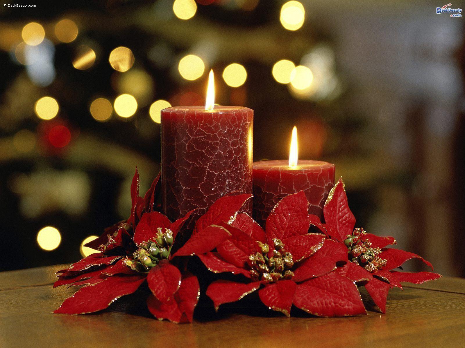 Warm Wishes of December for Happy New Year 2012