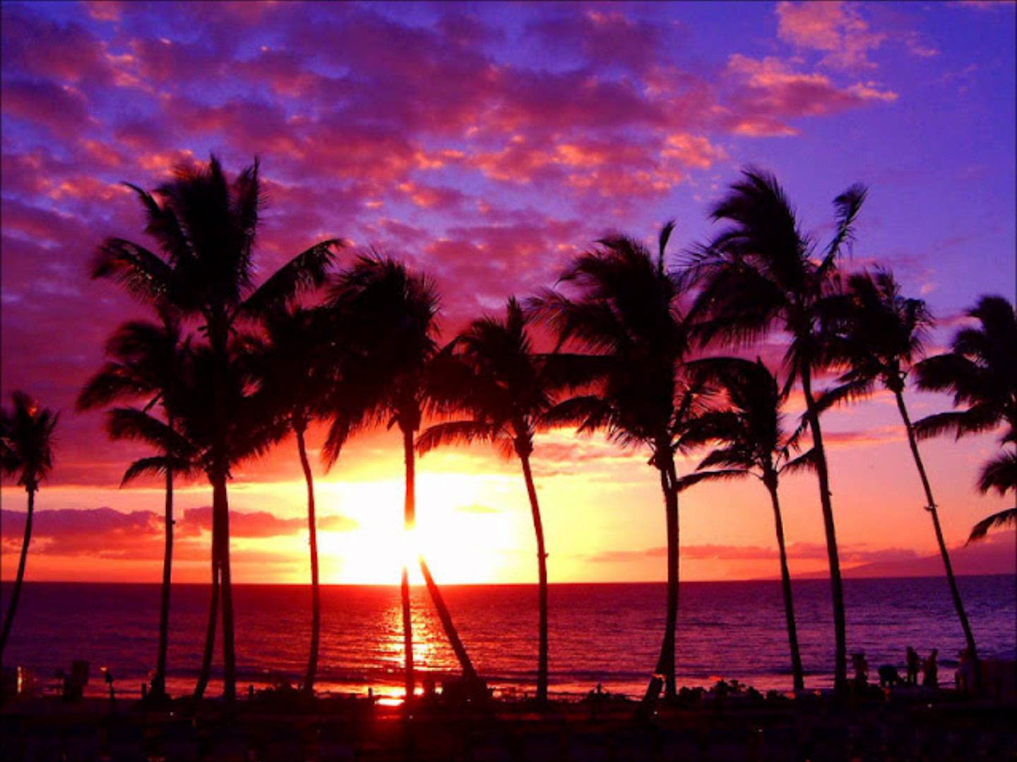 Hawaii Beach Purple Sunset HD Wallpaper. Frenzia